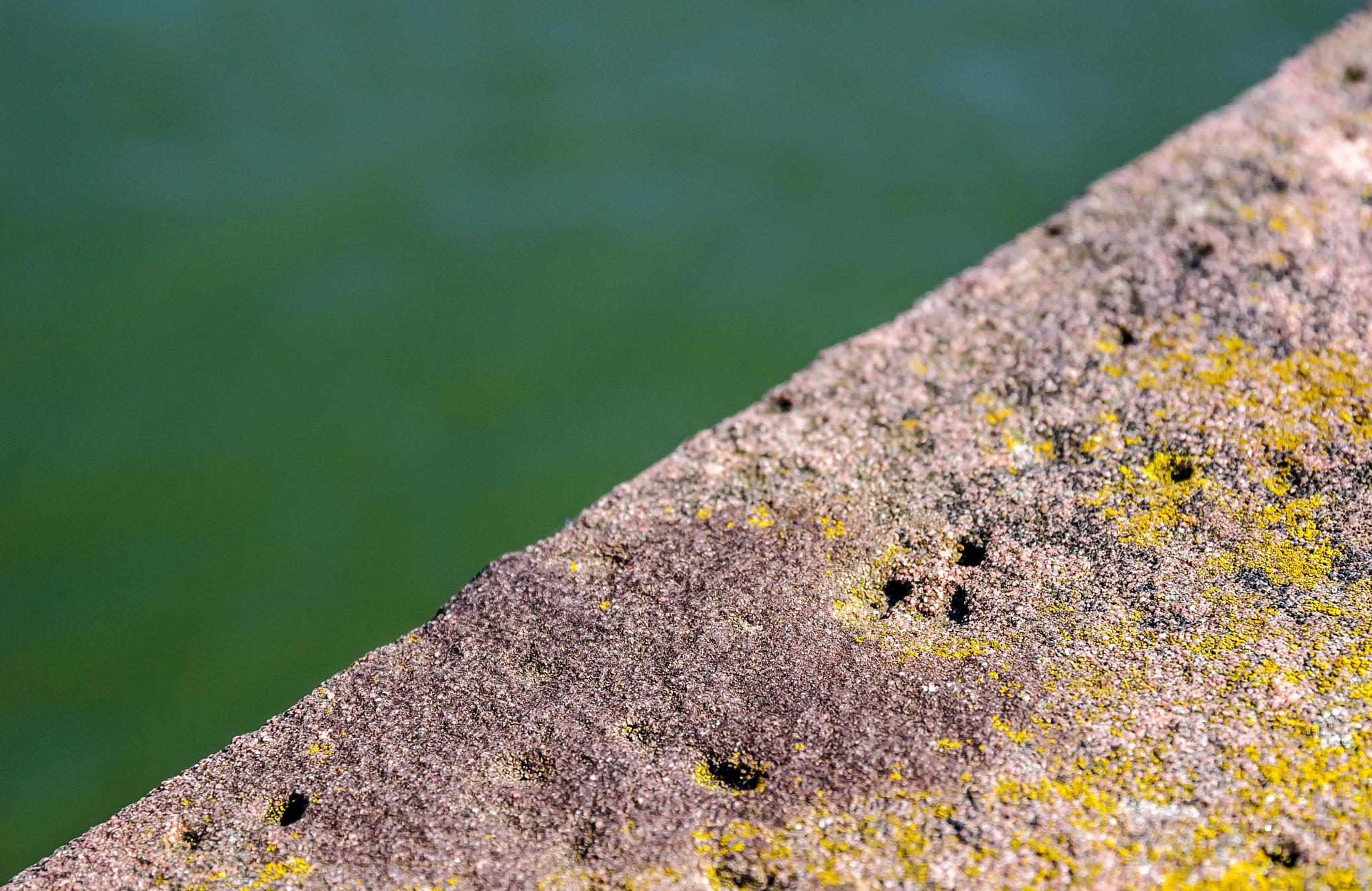 Nikon D300S + Sigma 17-70mm F2.8-4 DC Macro OS HSM | C sample photo. Green and grey photography