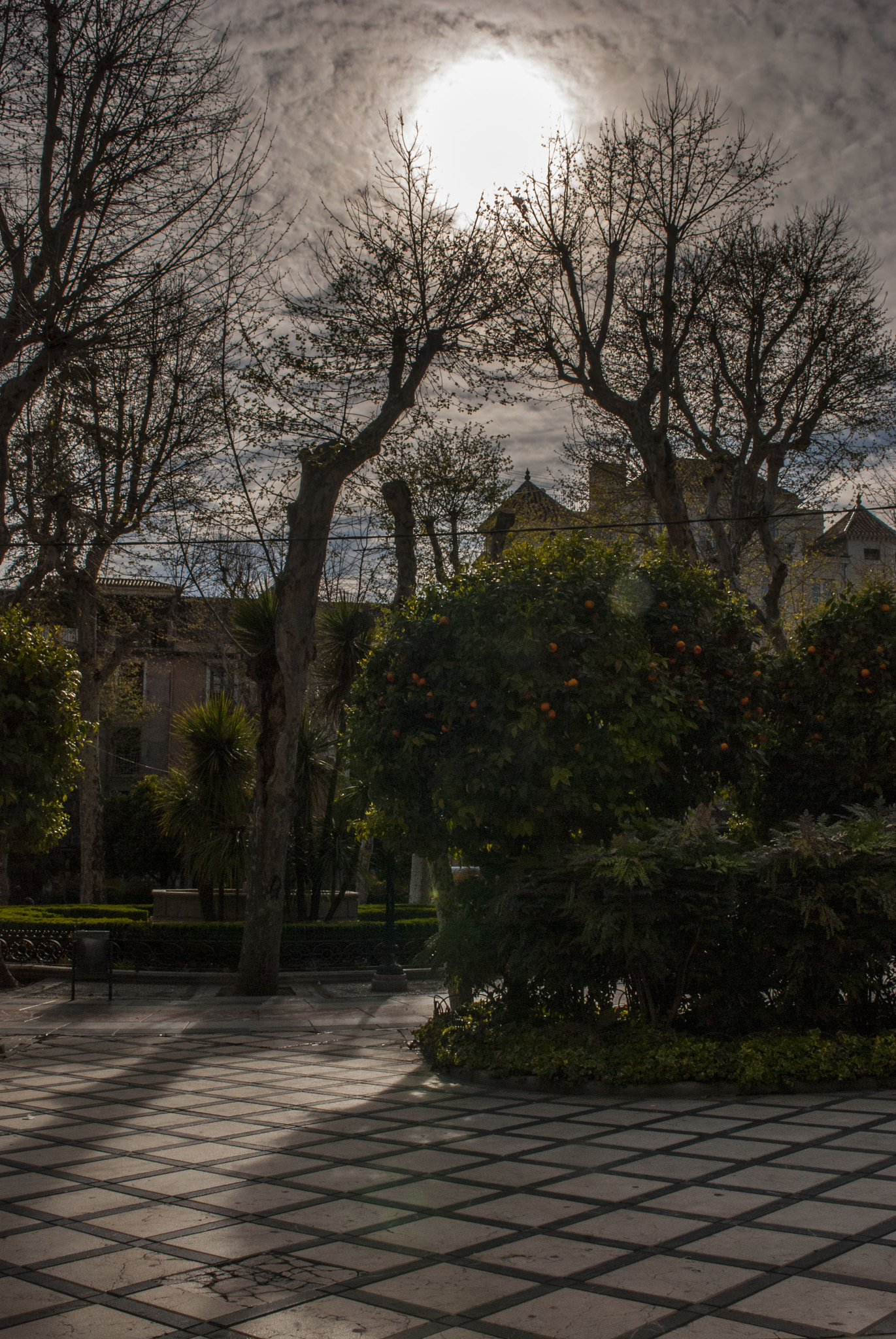 Sigma 24-70mm F2.8 EX DG HSM sample photo. Tell me a tale photography