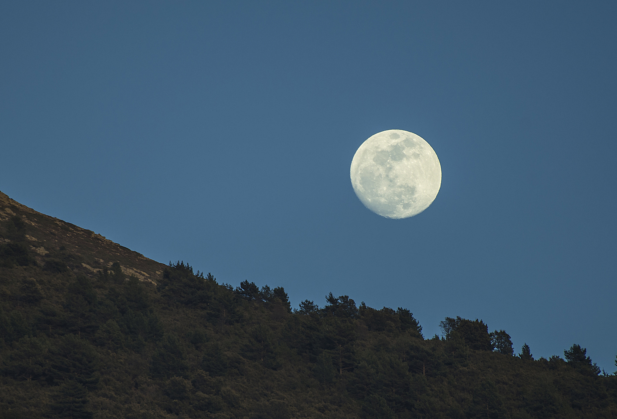 Pentax K-500 + Sigma sample photo. Moon photography