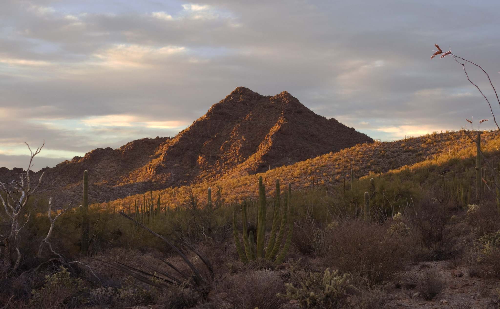 Canon EF 50mm f/1.8 sample photo. Gadsen peak sunset photography