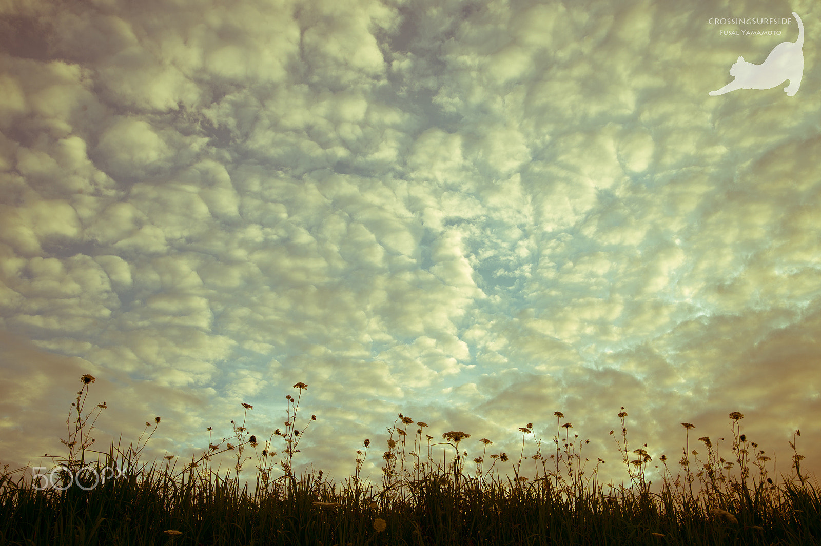 Nikon Df sample photo. Nostalgic sky photography