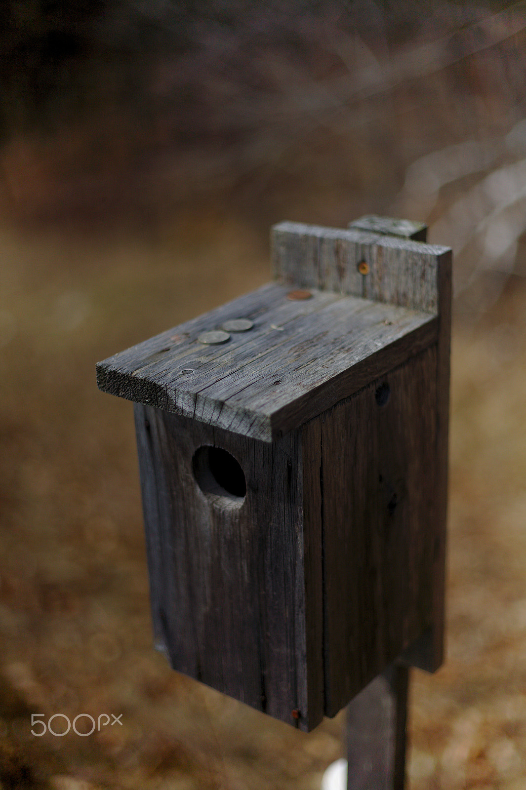 Canon EOS 5D + Canon EF50mm f/1.8 sample photo. Change birdhouse photography