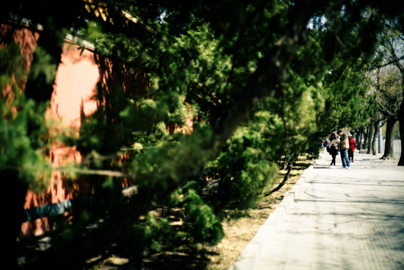 0mm F0 SAM sample photo