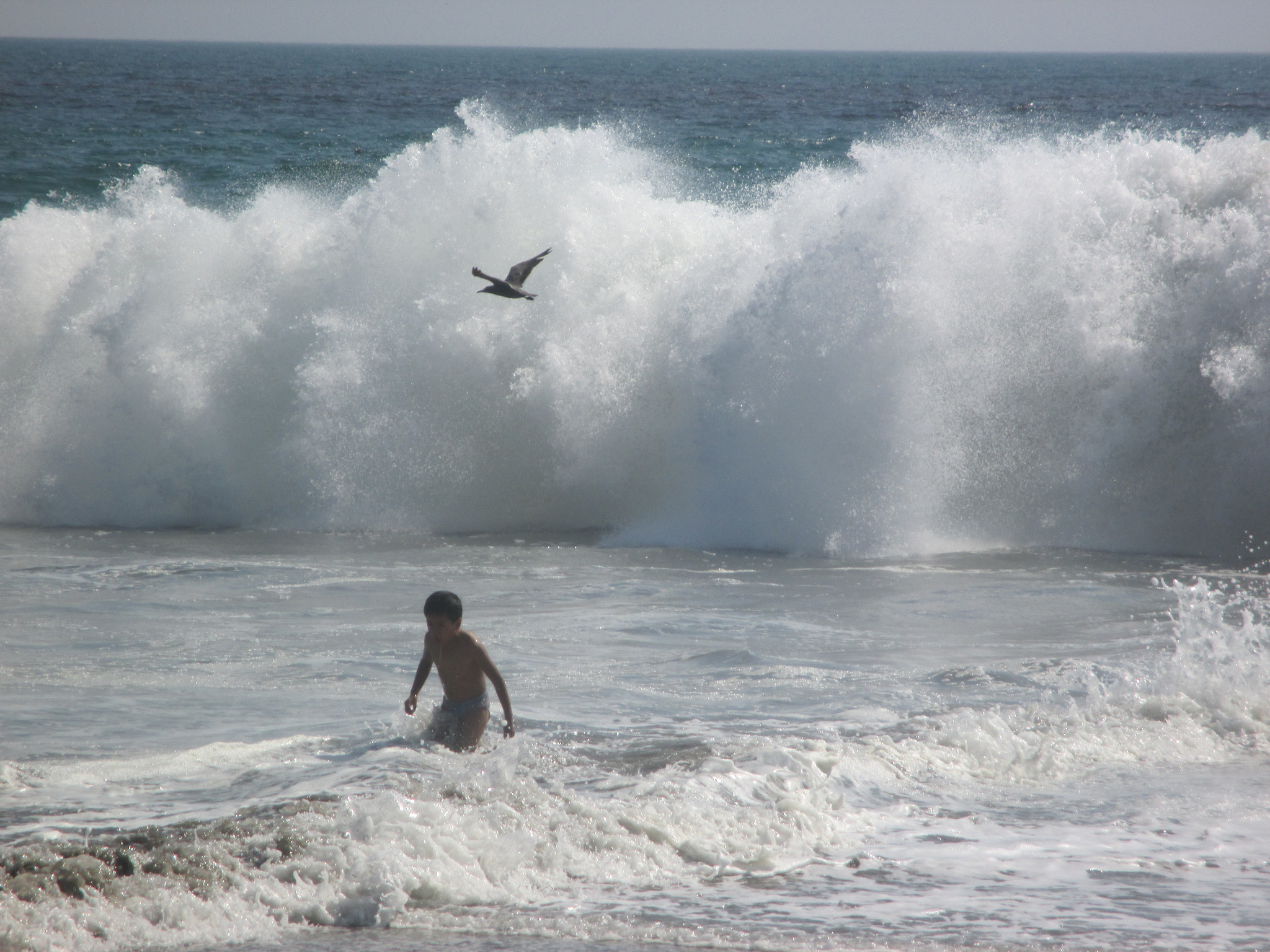 Canon PowerShot ELPH 130 IS (IXUS 140 / IXY 110F) sample photo. Scape from the savage sea photography