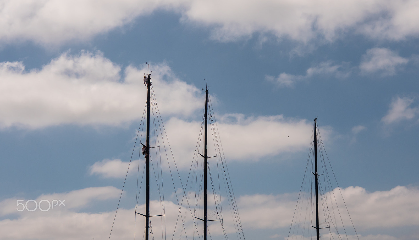 Panasonic Lumix DMC-GH4 sample photo. Hanging in there & fixing photography