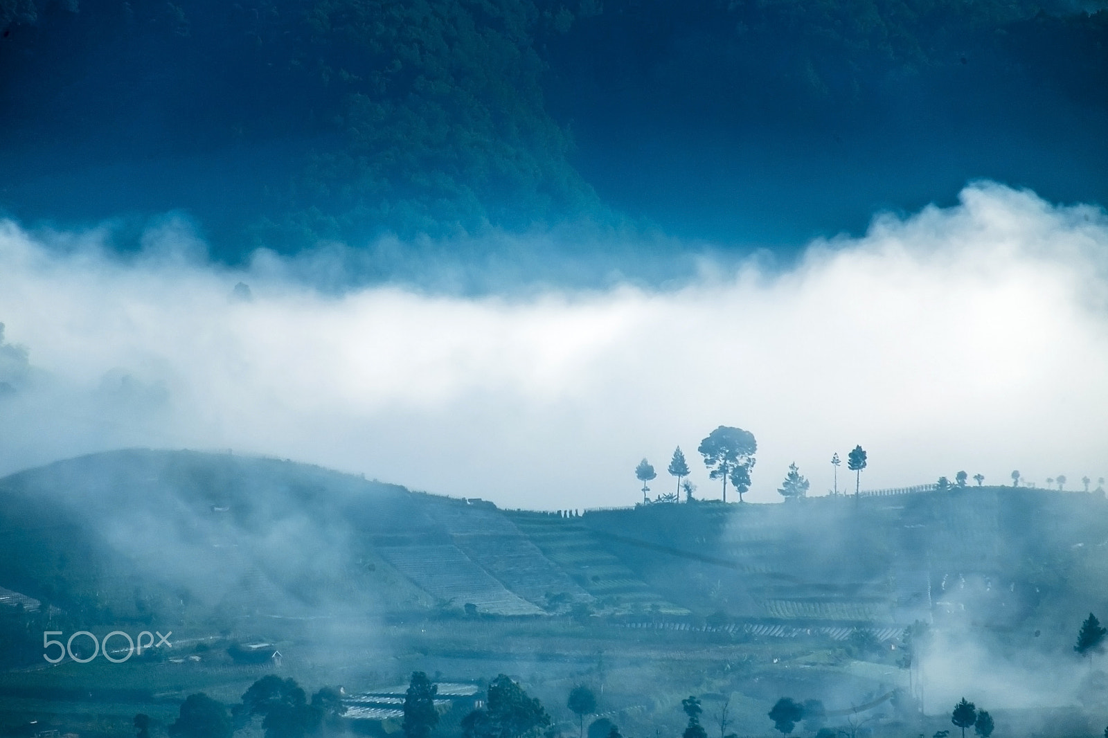 Fujifilm X-M1 + Fujifilm XC 50-230mm F4.5-6.7 OIS II sample photo. Shadow of trees photography