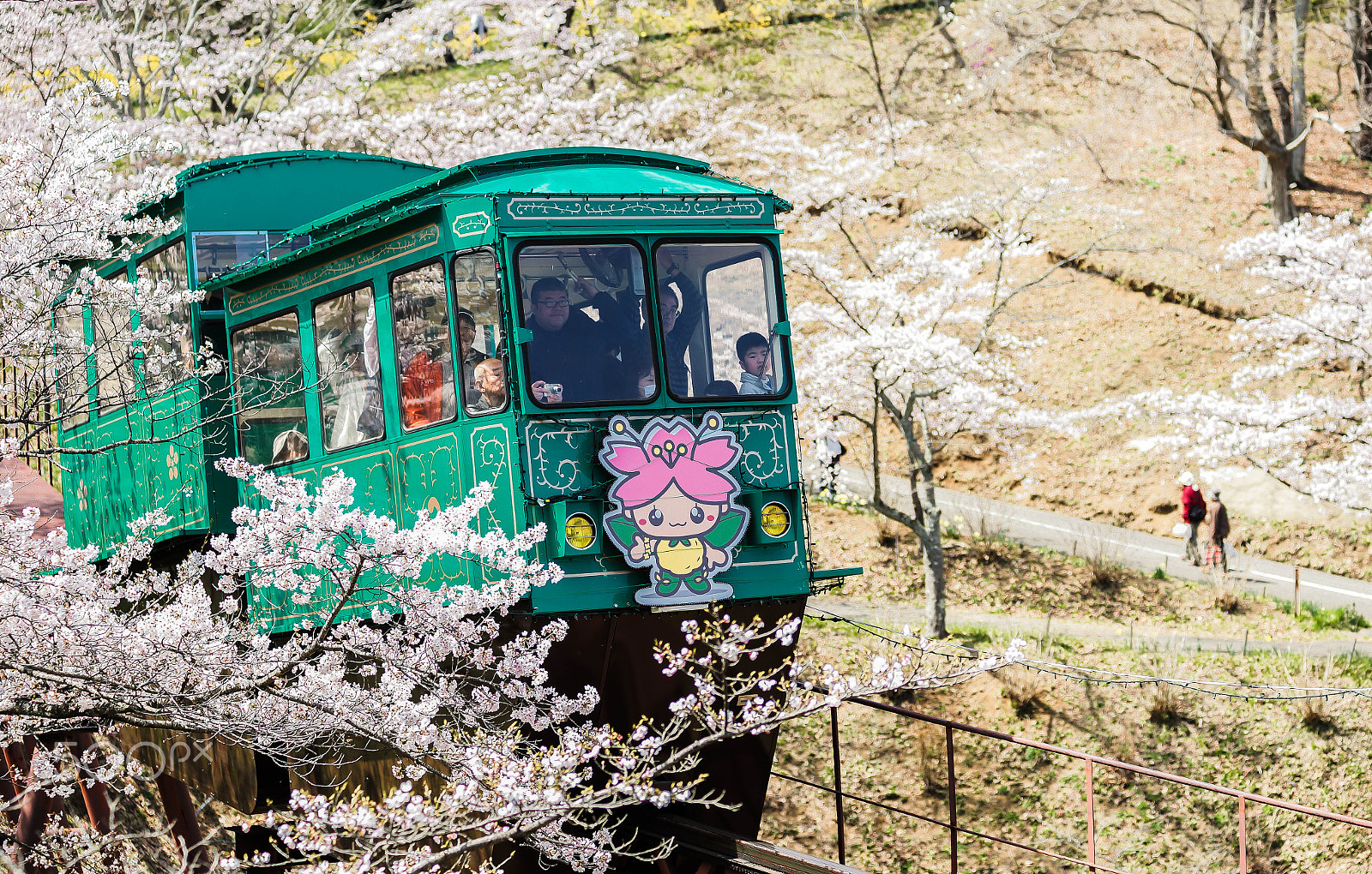 Minolta AF 80-200mm F2.8 HS-APO G sample photo. Take a ride or take a walk in cherry blossom photography