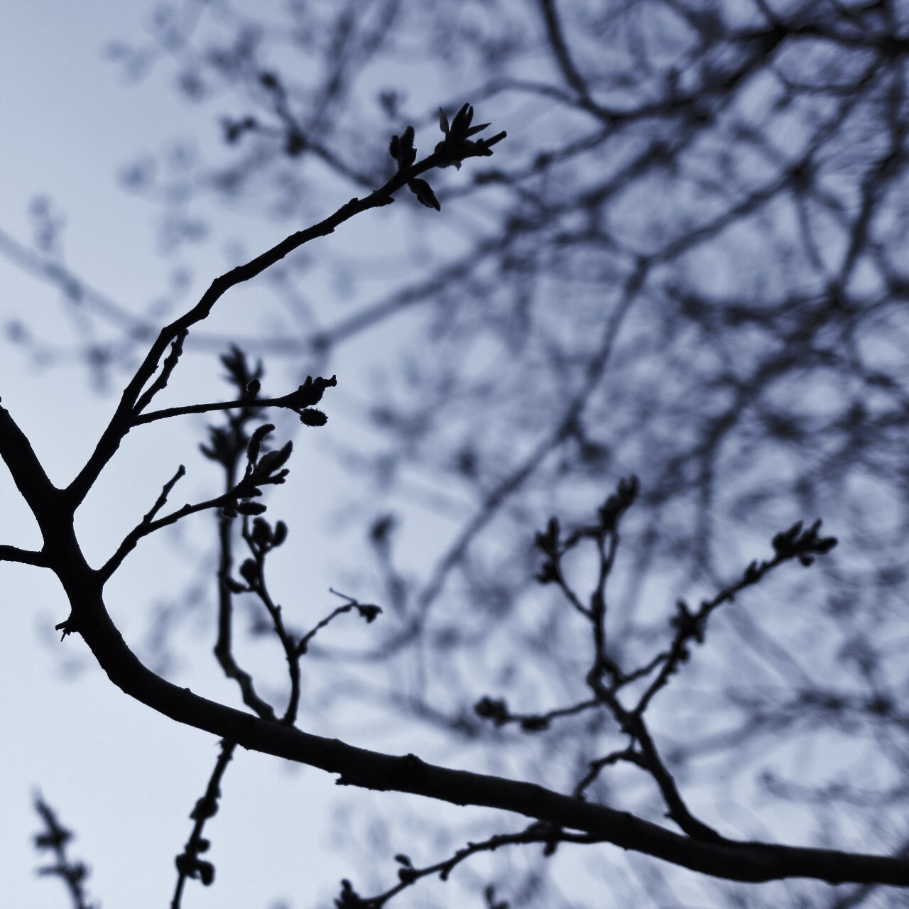 Canon EF 35mm F2 IS USM sample photo