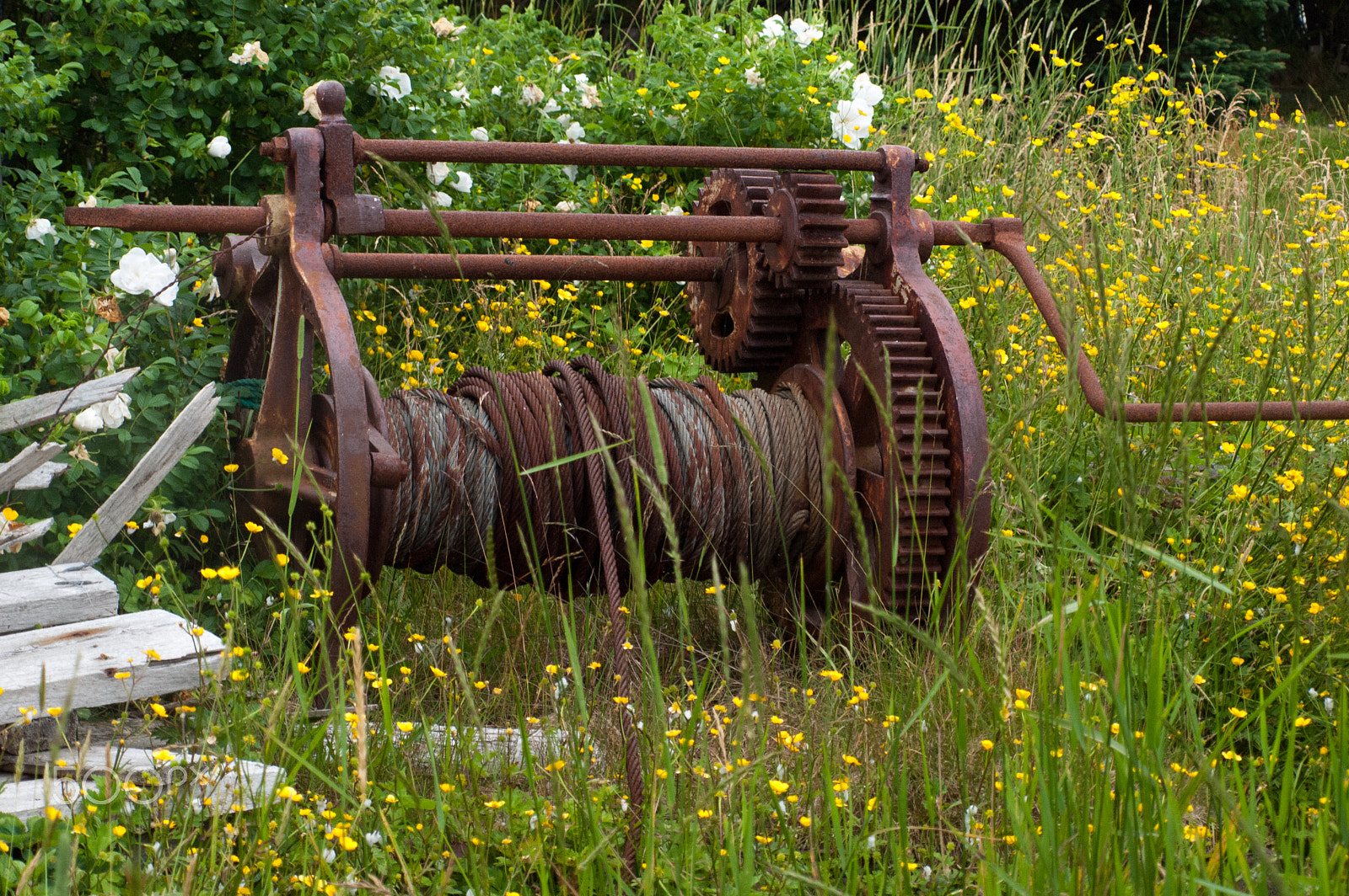 Olympus E-620 (EVOLT E-620) + OLYMPUS 14-42mm Lens sample photo. Rusting winch reclaimed photography
