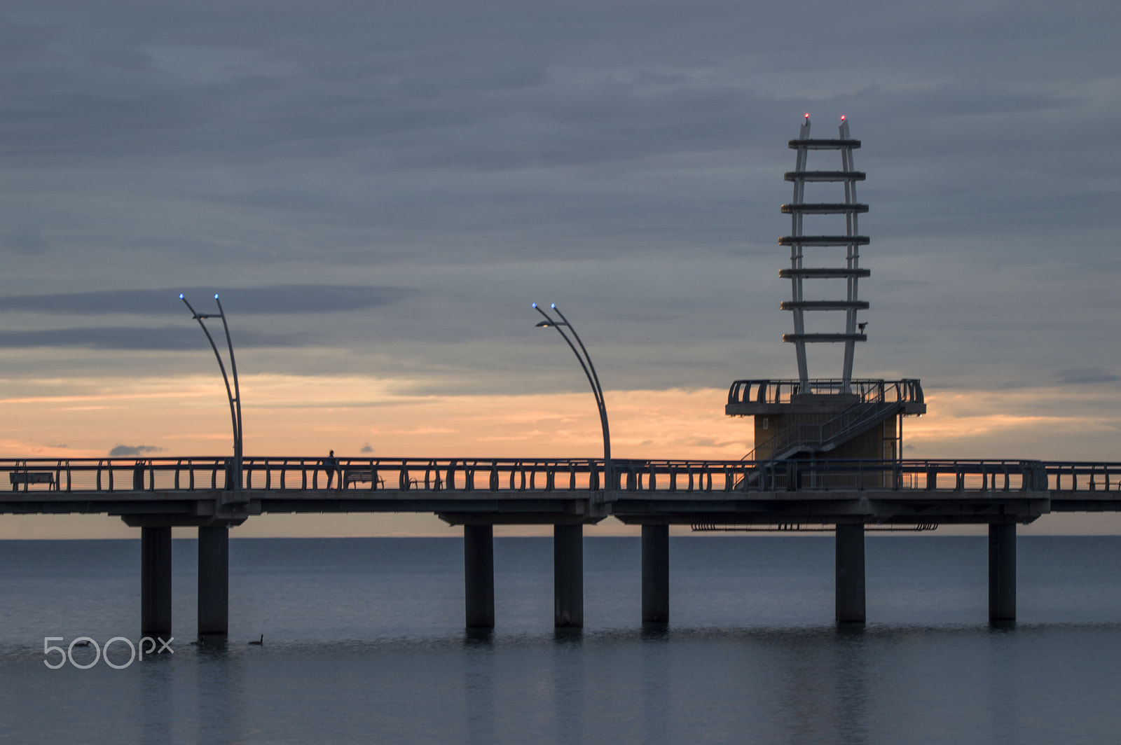 Sigma 150-600mm F5-6.3 DG OS HSM | C sample photo. Burlington pier photography