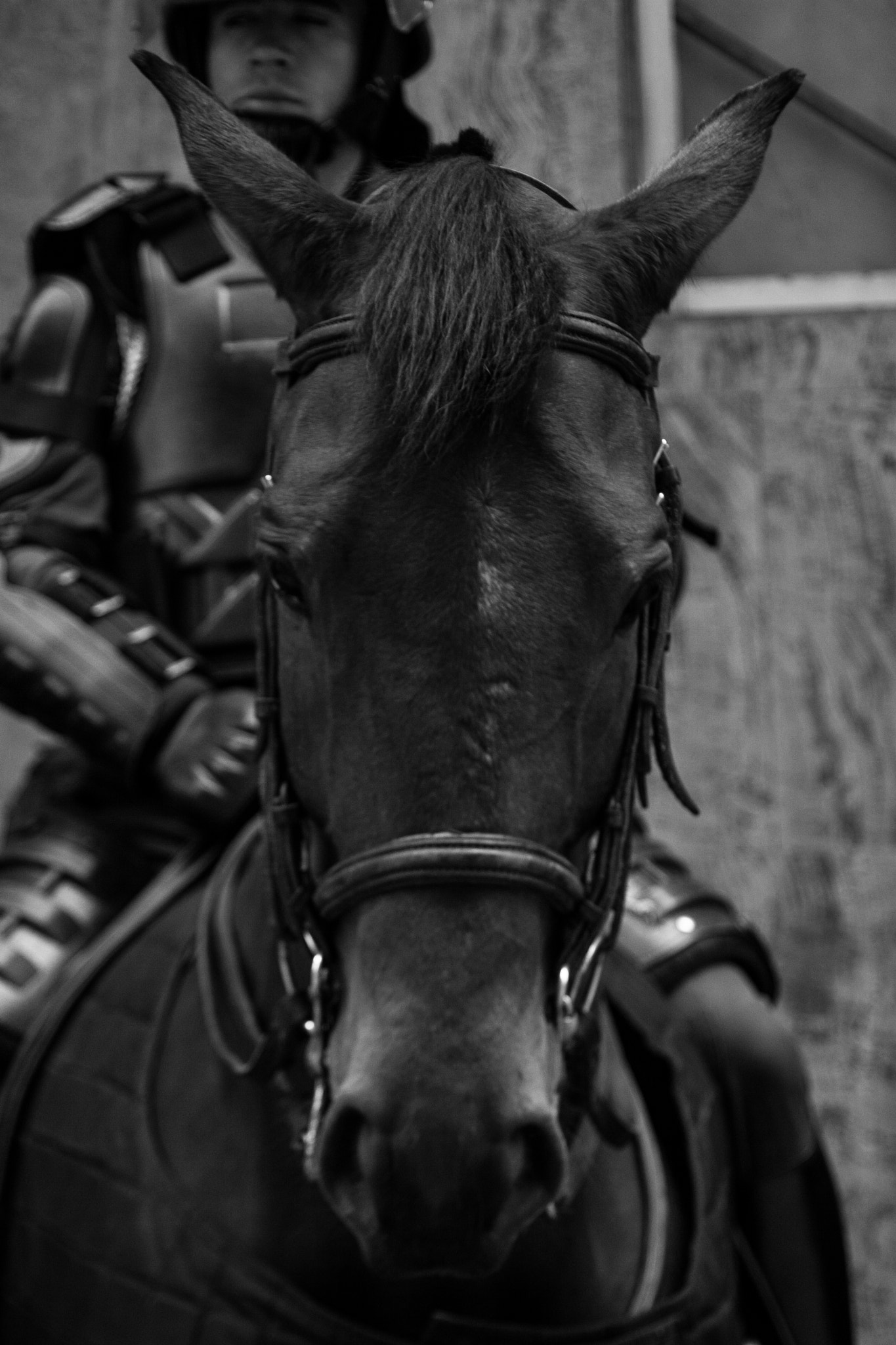 Canon EF 28-105mm f/3.5-4.5 USM sample photo. My job photography