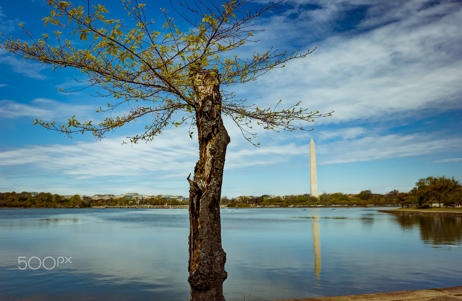 Sigma 18-35mm f/1.8 DC HSM sample photo. Washington memorial taking a step back photography