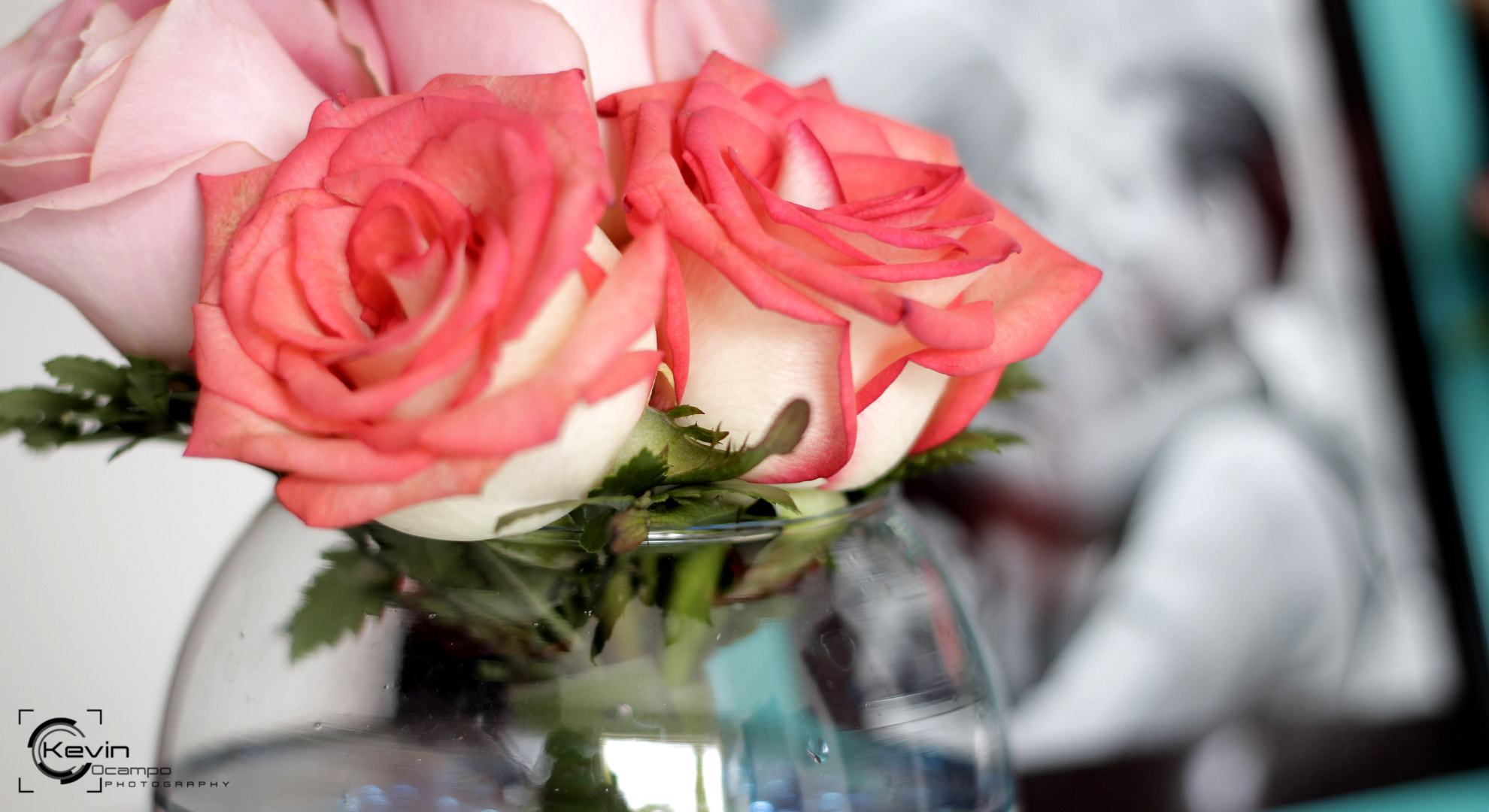 Canon EF 50mm f/1.8 sample photo. 00000374.jpg photography