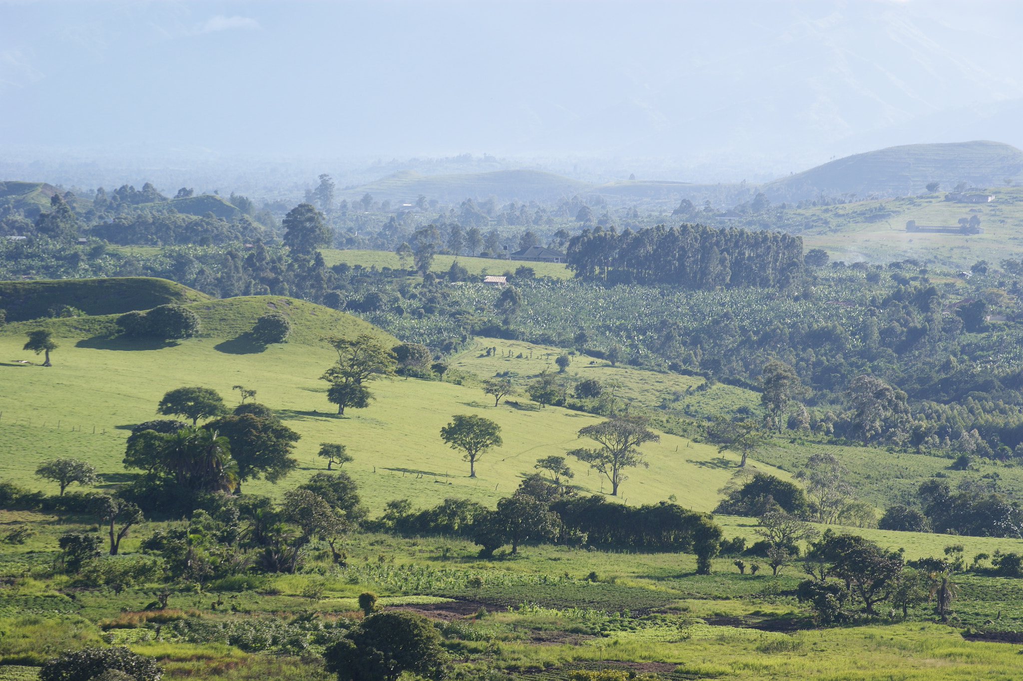Sony Alpha DSLR-A390 sample photo. Western uganda photography