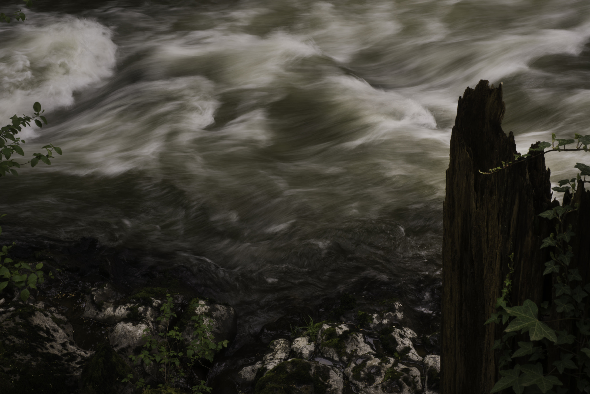 Nikon D800E + Nikon AF Micro-Nikkor 60mm F2.8D sample photo. Cloudy river photography