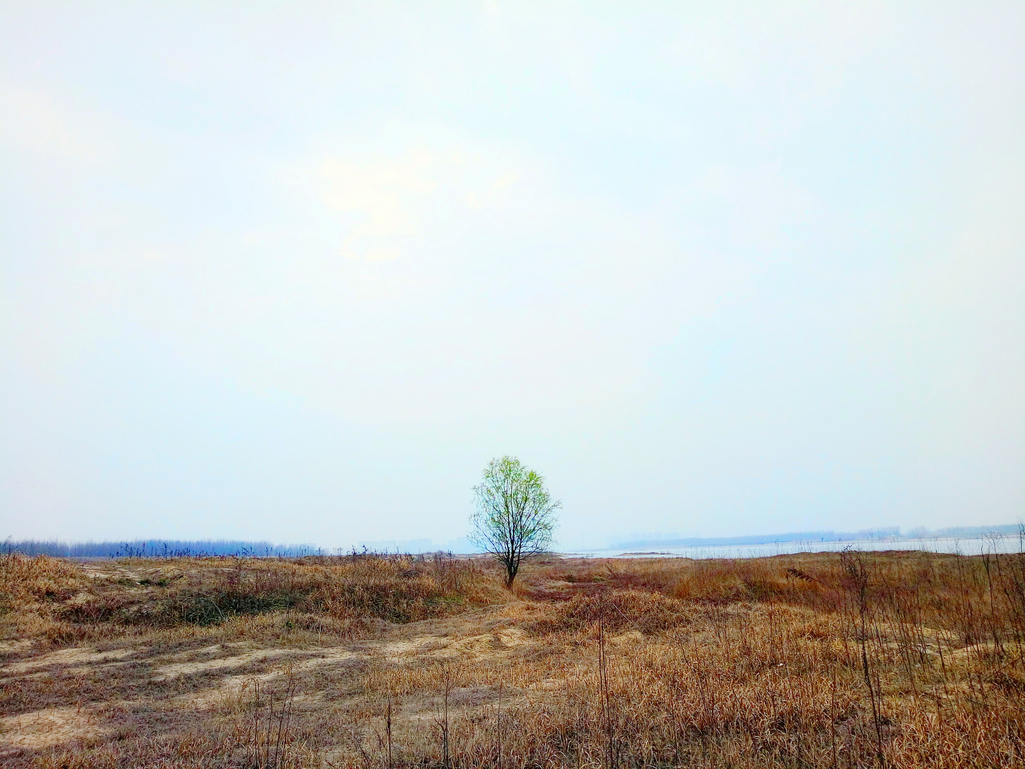 OPPO R7 Plus sample photo. 独立 photography