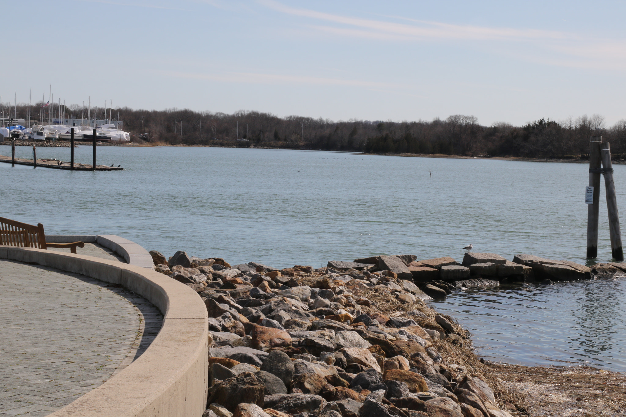 Canon EF-S 18-135mm F3.5-5.6 IS STM sample photo. Almost spring in new england photography