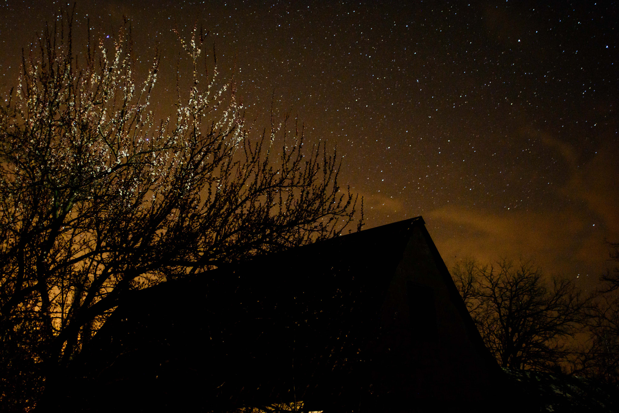 AF Zoom-Nikkor 28-105mm f/3.5-4.5D IF sample photo. Night apple.jpg photography