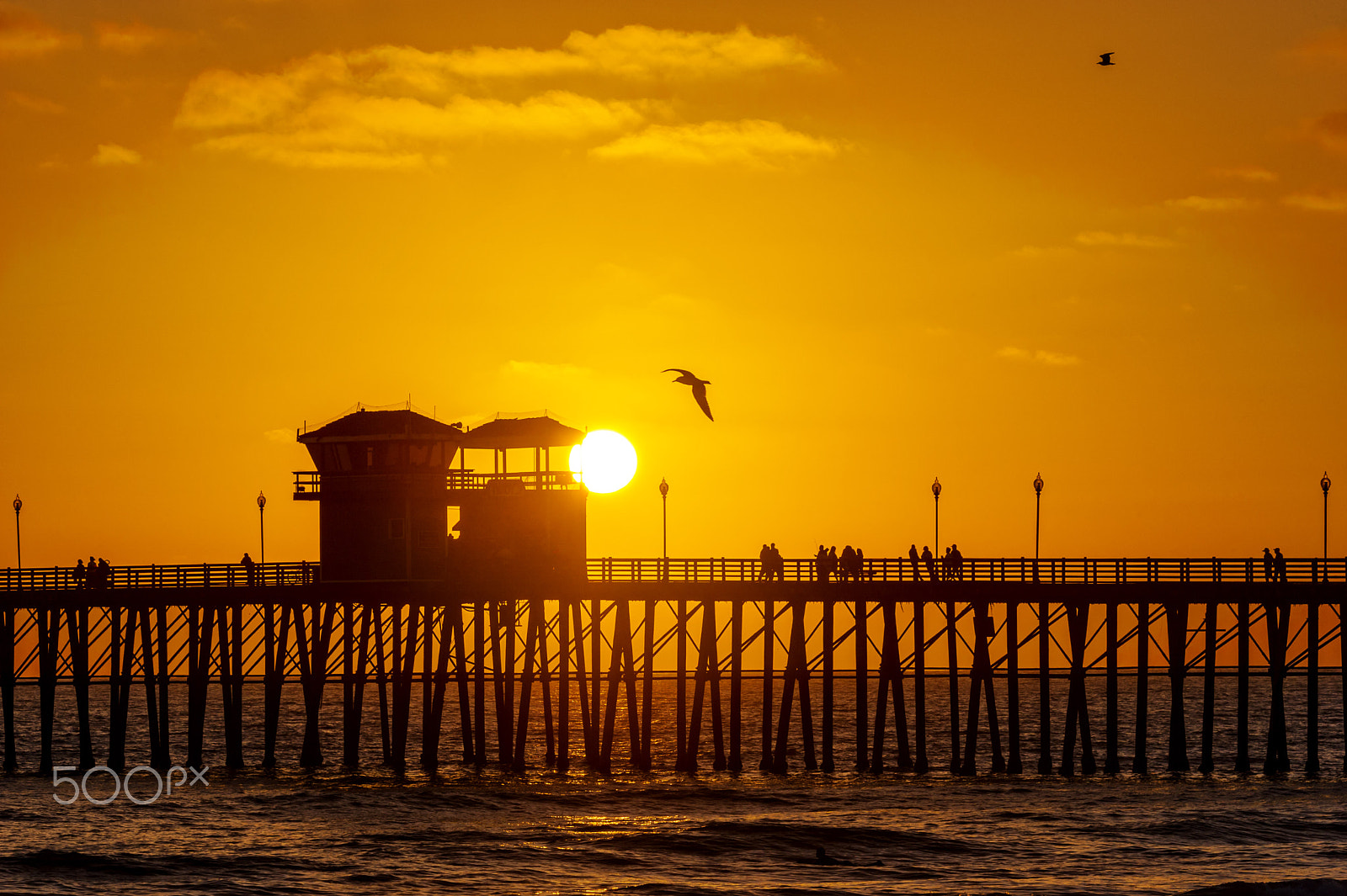 Nikon D3S sample photo. Golden sunset at the pier in oceanside photography