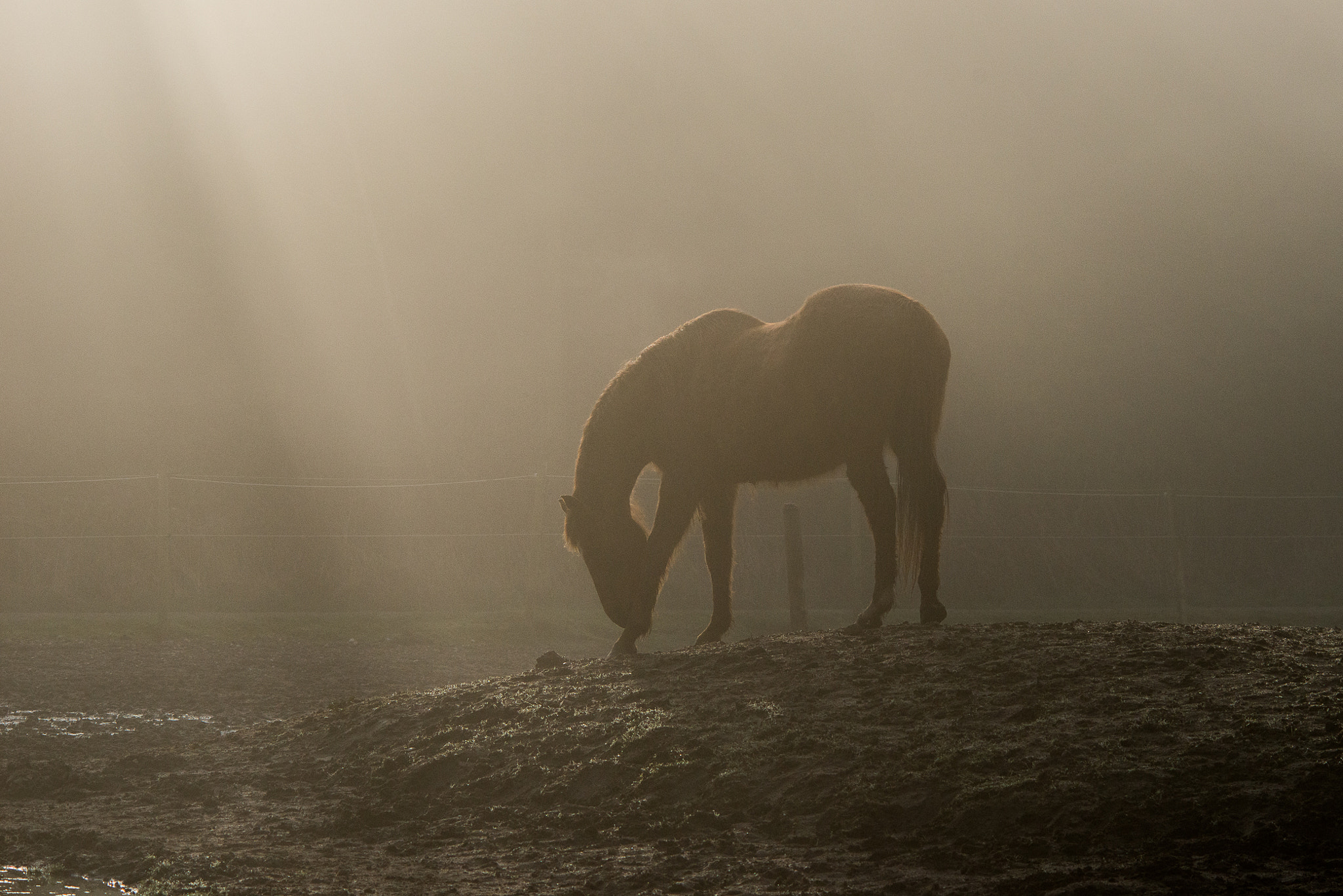 Nikon D800E + AF DC-Nikkor 135mm f/2D sample photo. Early morning photography