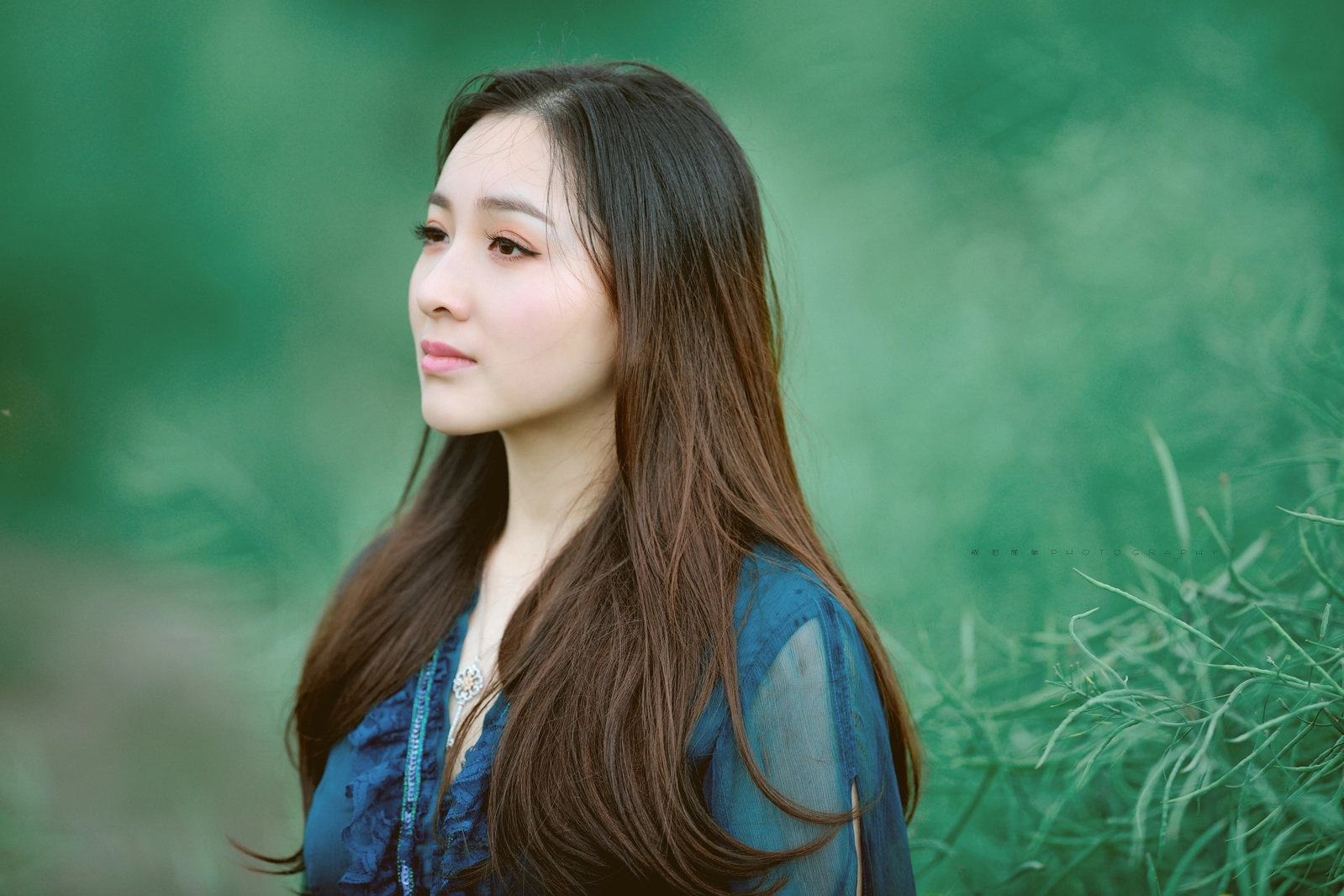 Nikon AF-S Nikkor 200mm F2G ED-IF VR sample photo. Dsc_8645.jpg photography