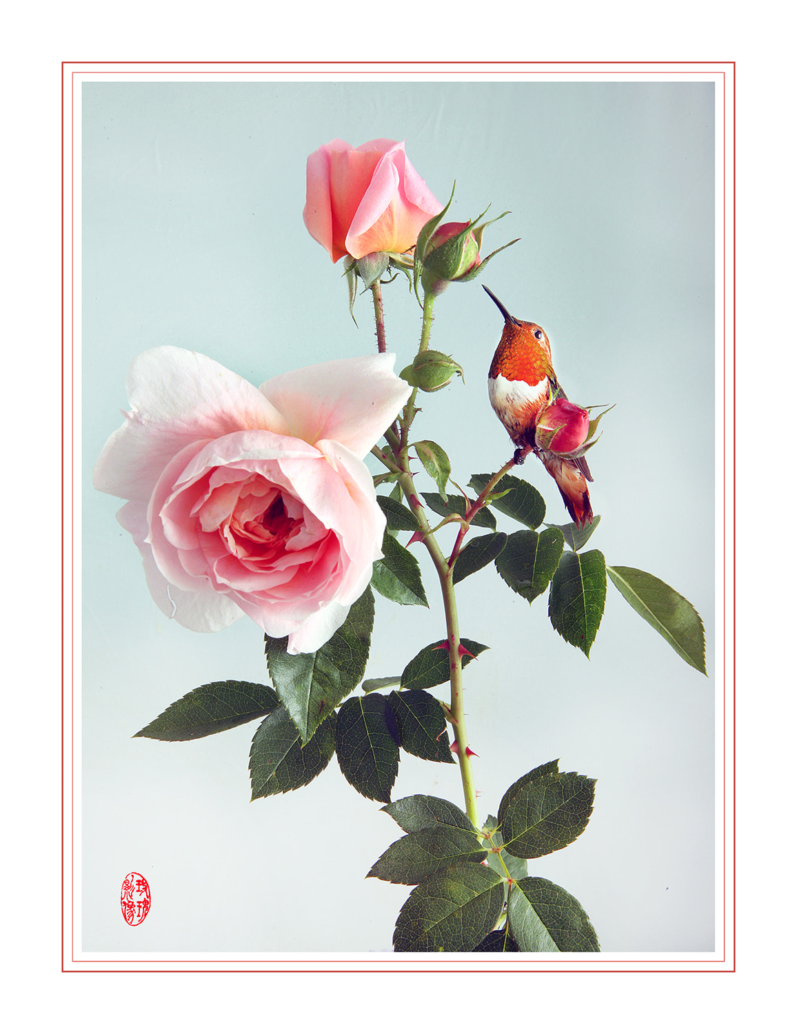 Canon EOS-1D Mark III sample photo