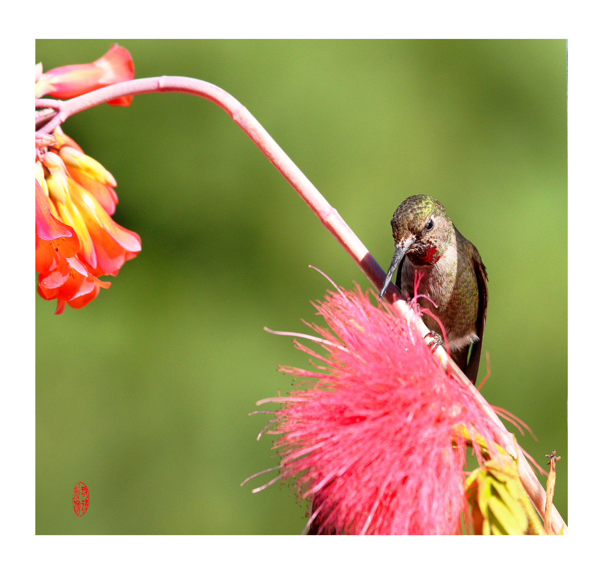 Canon EOS-1D Mark III sample photo