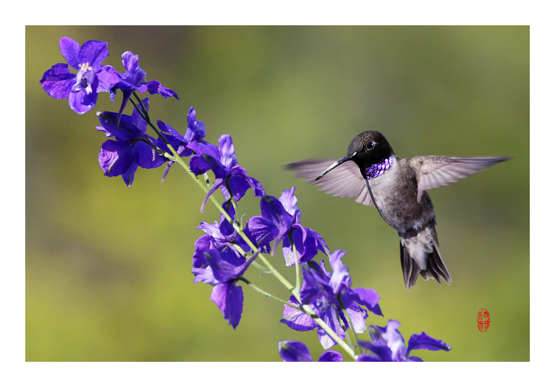 Canon EF 100-400mm F4.5-5.6L IS USM sample photo