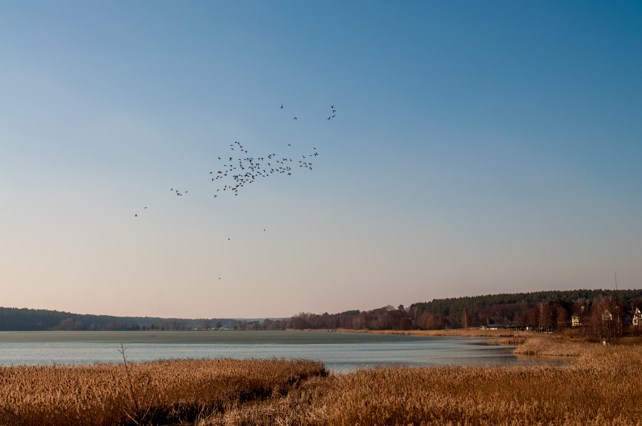 Nikon D90 + Nikon AF-S Nikkor 28mm F1.8G sample photo. Wedge & sedge photography