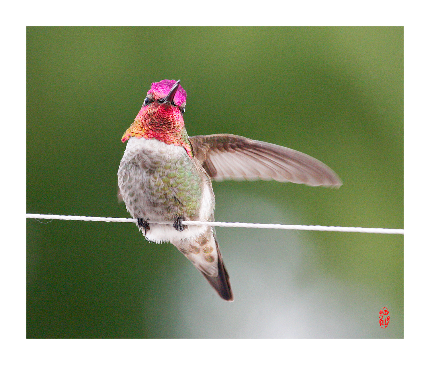 Canon EOS-1D Mark III sample photo