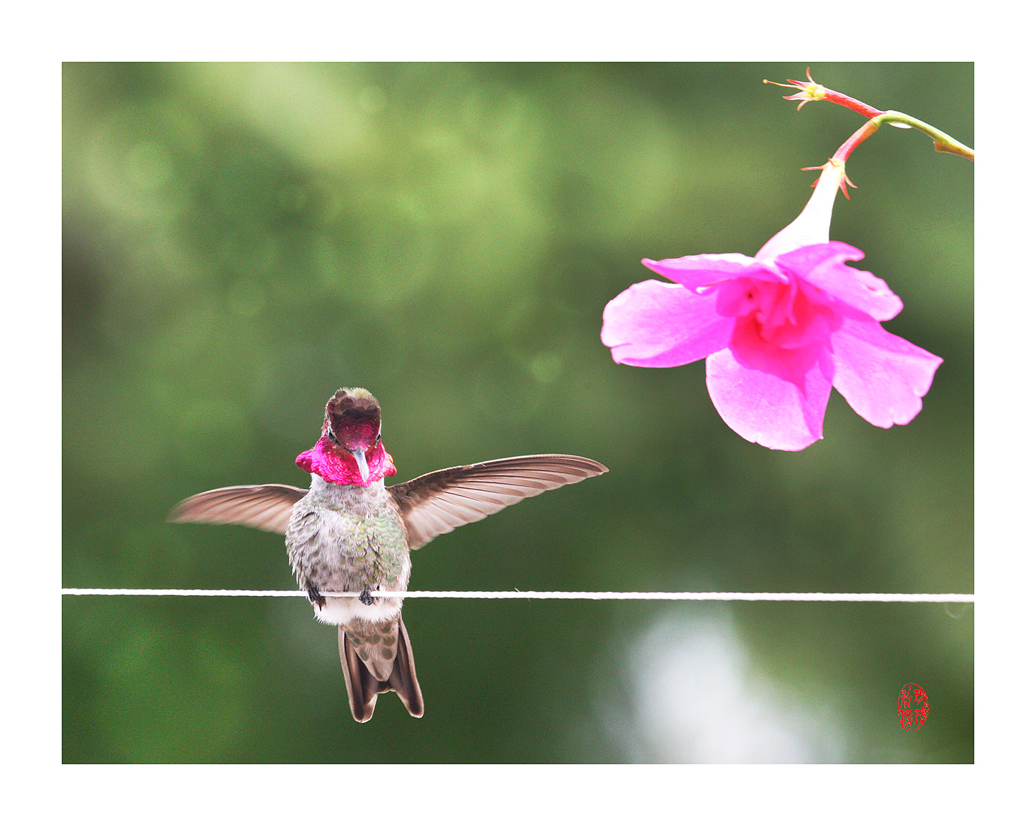 Canon EOS-1D Mark III sample photo