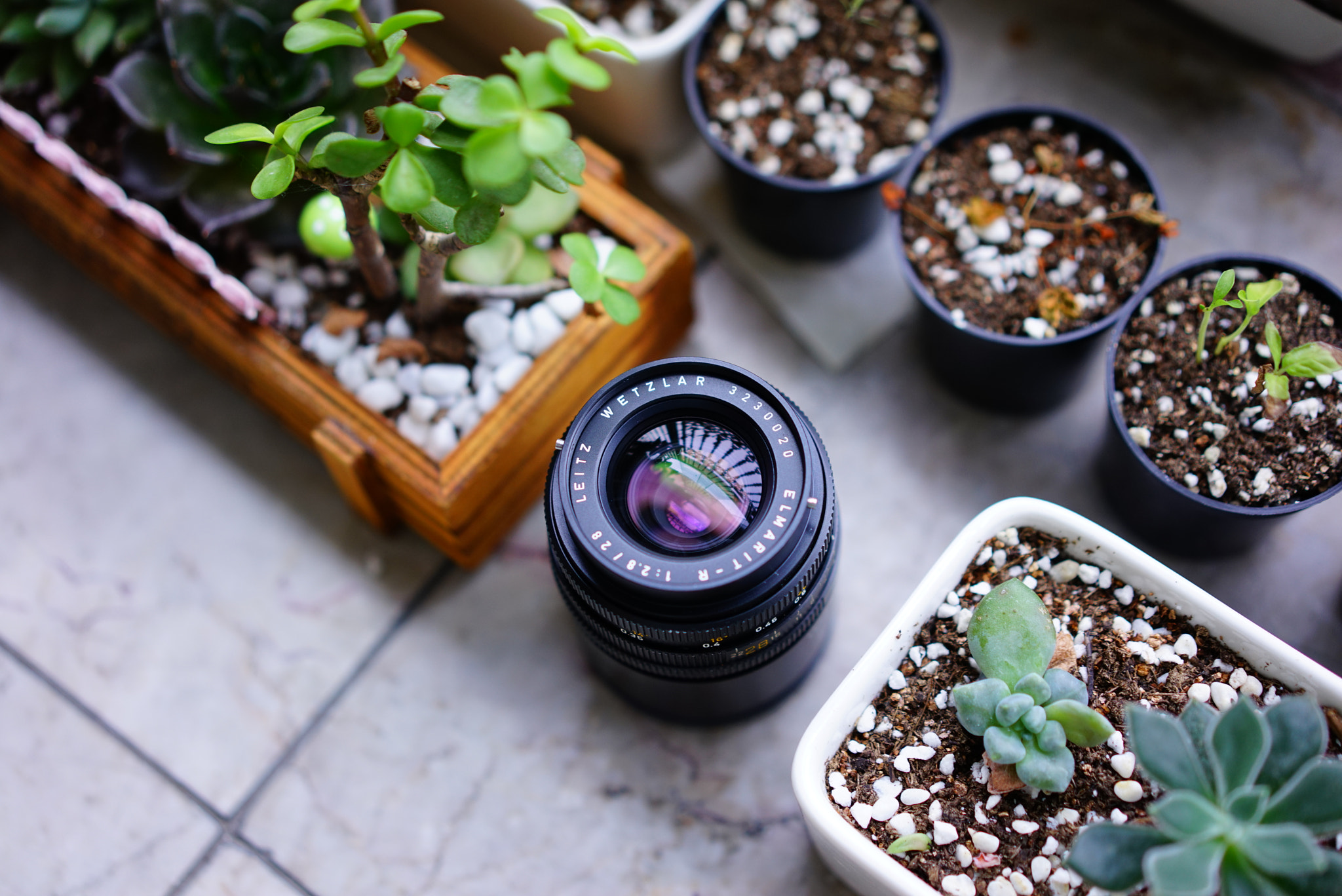 Sony a7R + Sony Sonnar T* FE 55mm F1.8 ZA sample photo. Leica e48 r28/2.8 photography