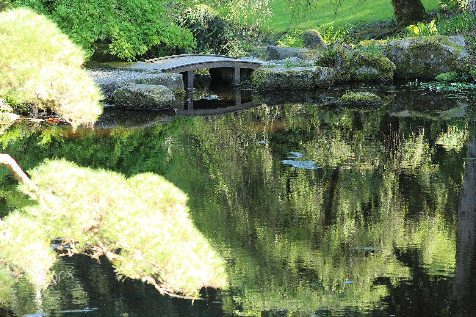 Canon EF 200mm F2.8L II USM sample photo. Reflections photography