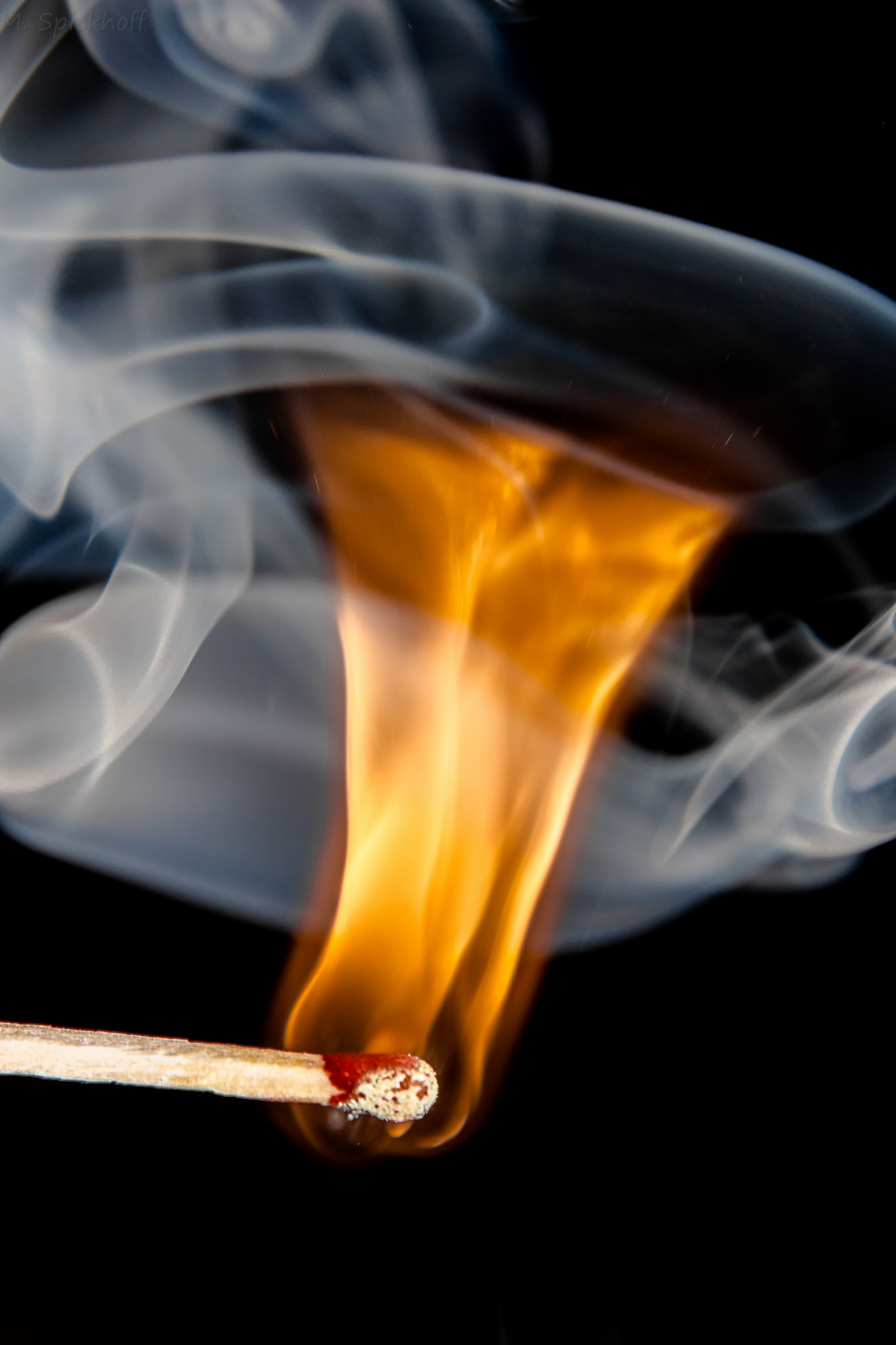 Canon EF-S 60mm F2.8 Macro USM sample photo. Ring off fire photography