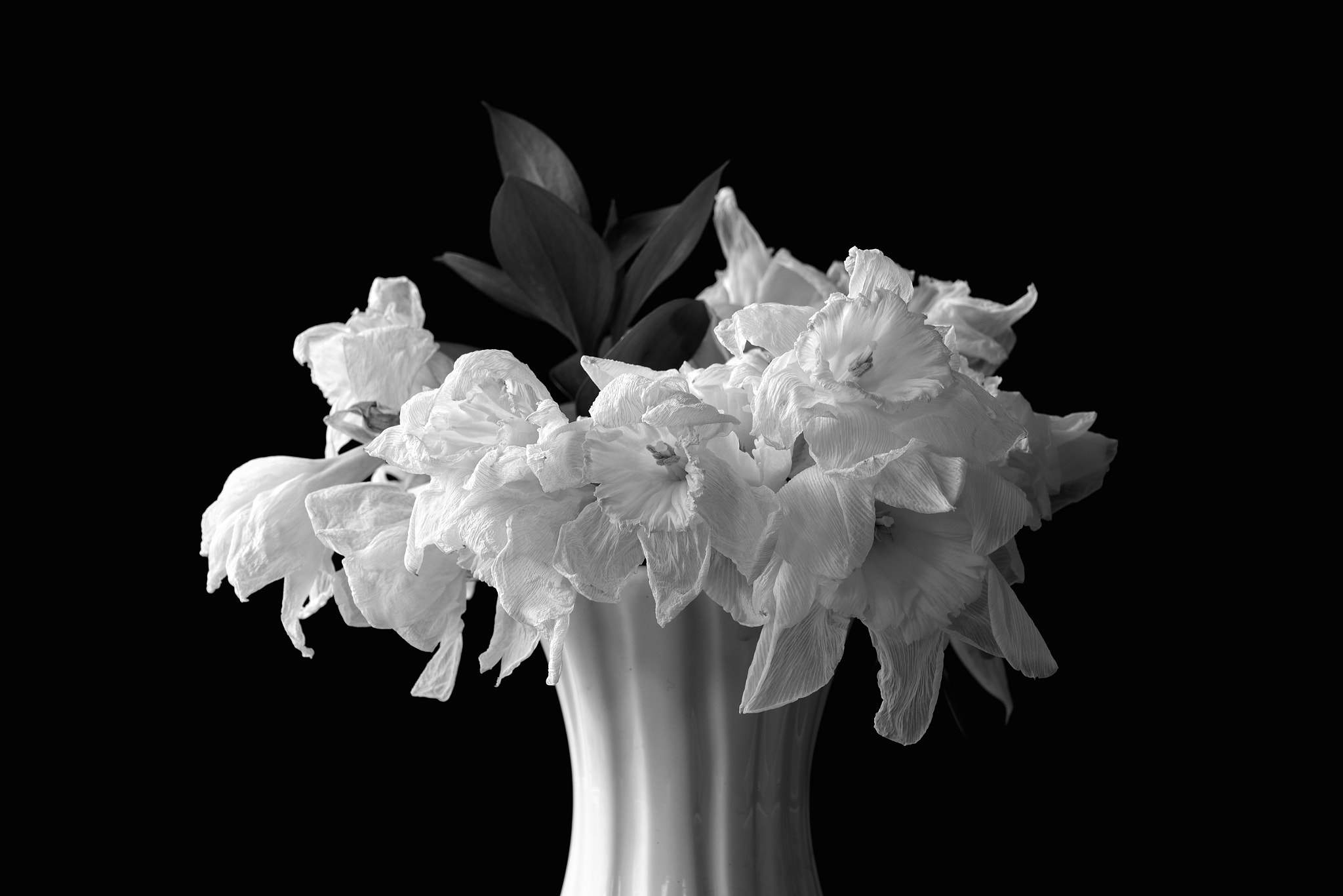 Nikon D600 + Sigma 24-70mm F2.8 EX DG Macro sample photo. Withered narcissus photography