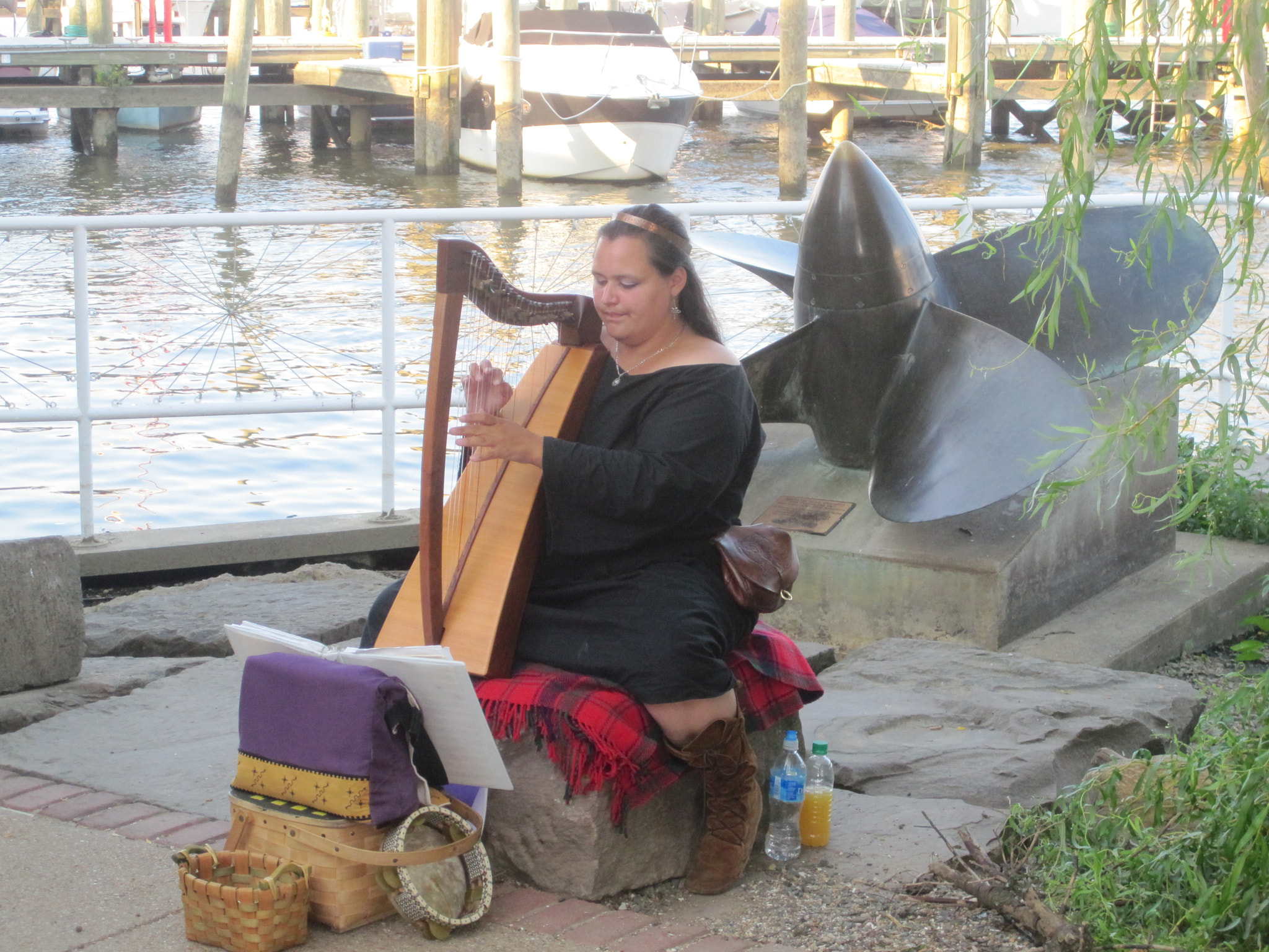 Canon PowerShot SD780 IS (Digital IXUS 100 IS / IXY Digital 210 IS) sample photo. Harp player photography