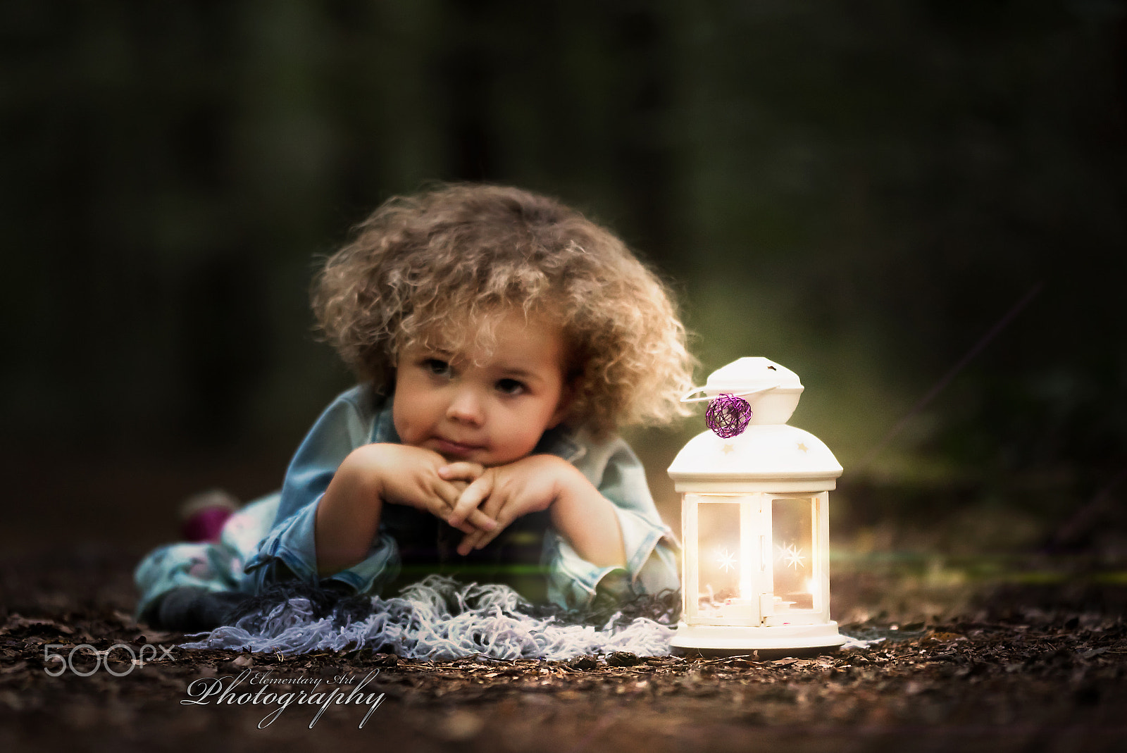 Sigma 150mm F2.8 EX DG Macro HSM sample photo. ... photography