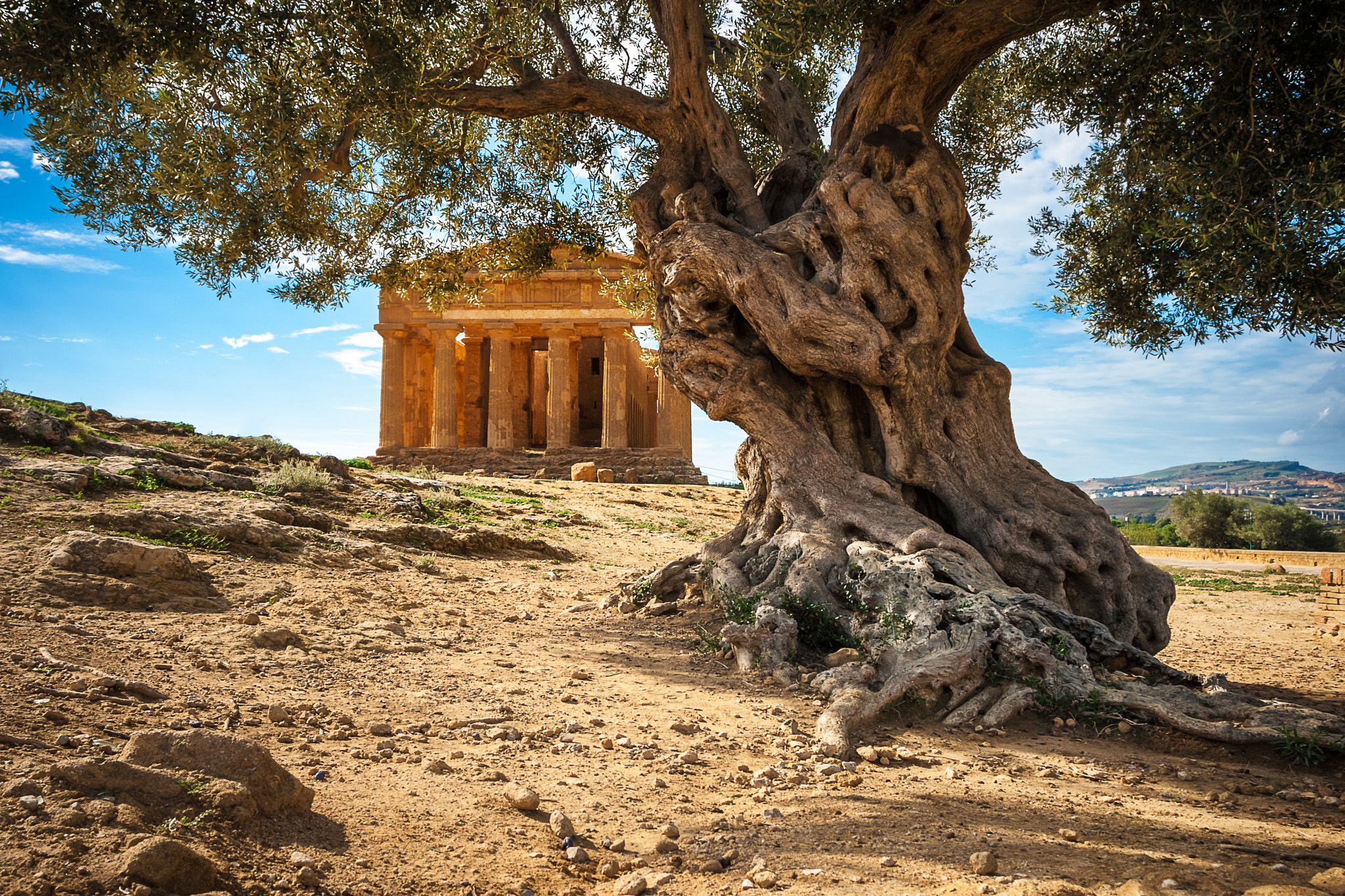 Canon EOS 400D (EOS Digital Rebel XTi / EOS Kiss Digital X) + Canon EF 17-40mm F4L USM sample photo. Agrigento - valle dei templi photography