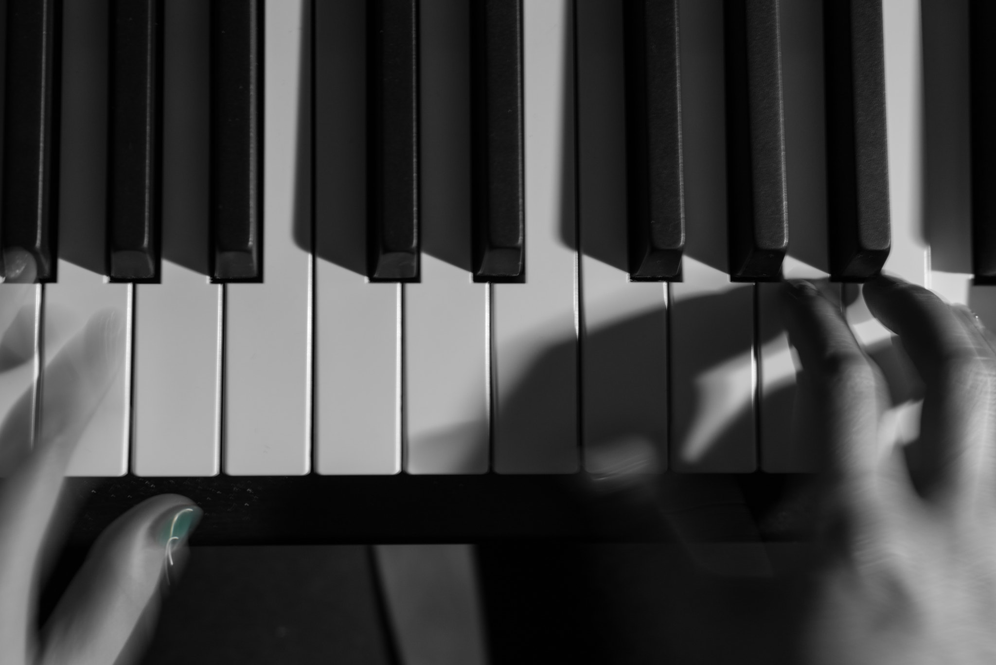 ZEISS Planar T* 50mm F1.4 sample photo. Piano talk photography