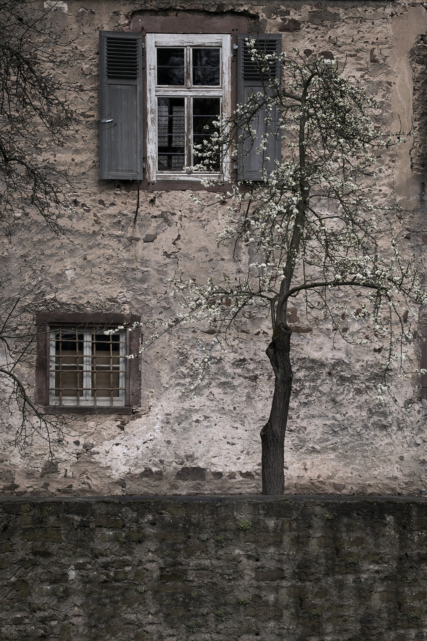 Tamron 14-150mm F3.5-5.8 Di III sample photo. Spring in michelstadt photography