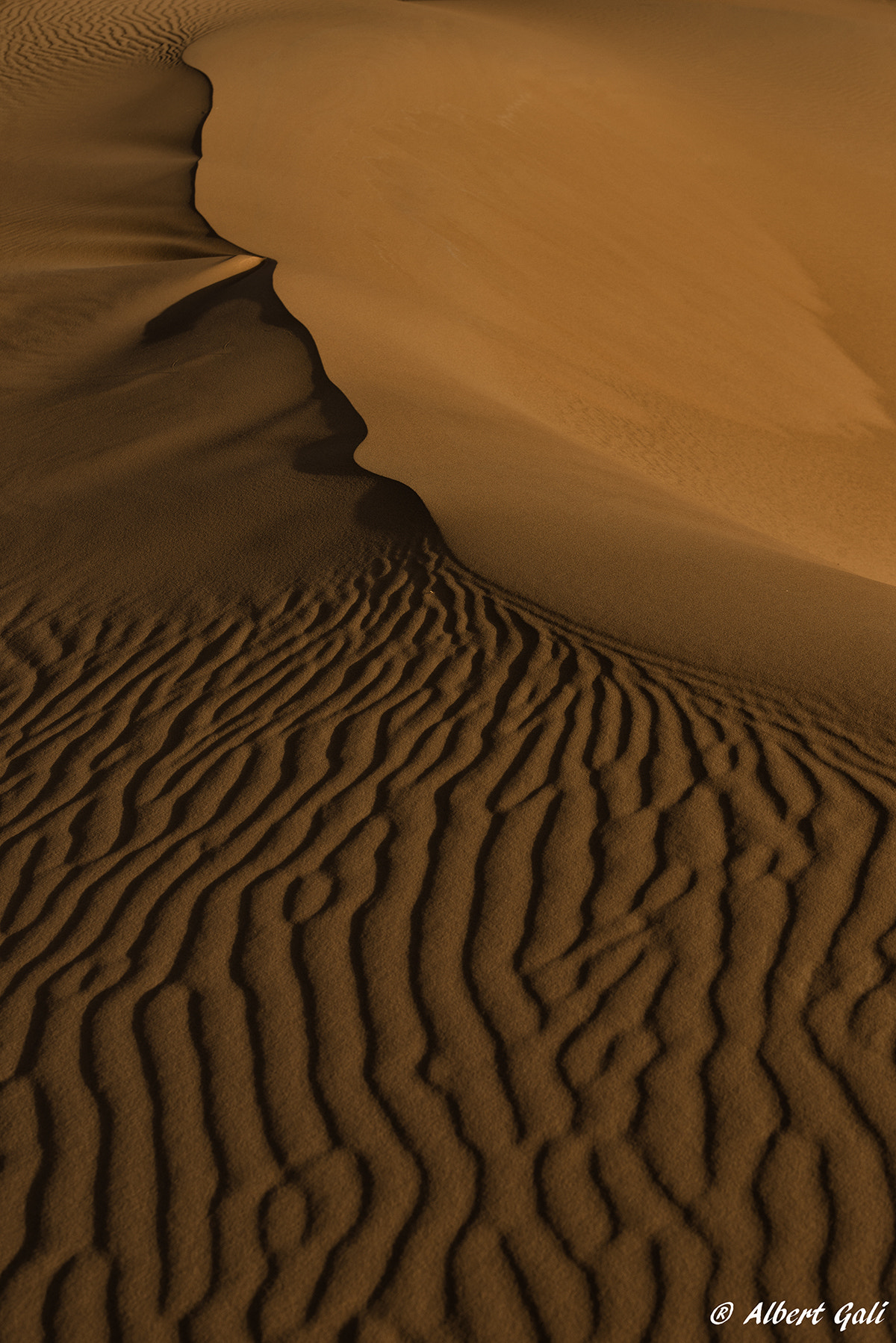 Sigma 70-200mm F2.8 EX DG Macro HSM II sample photo. Morocco desert photography