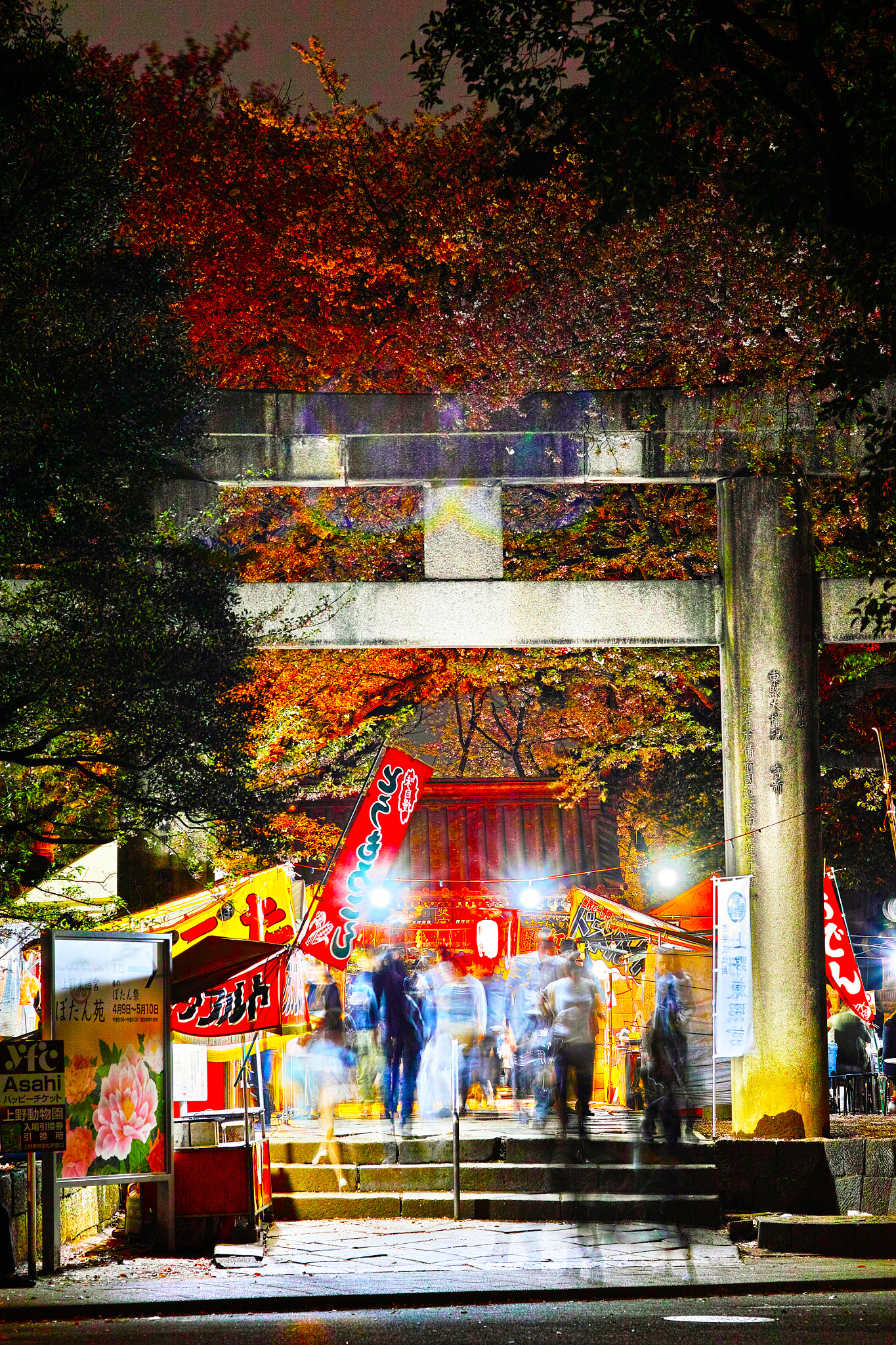 Sigma SD1 Merrill + Sigma 85mm F1.4 EX DG HSM sample photo. 桜　sakura photography