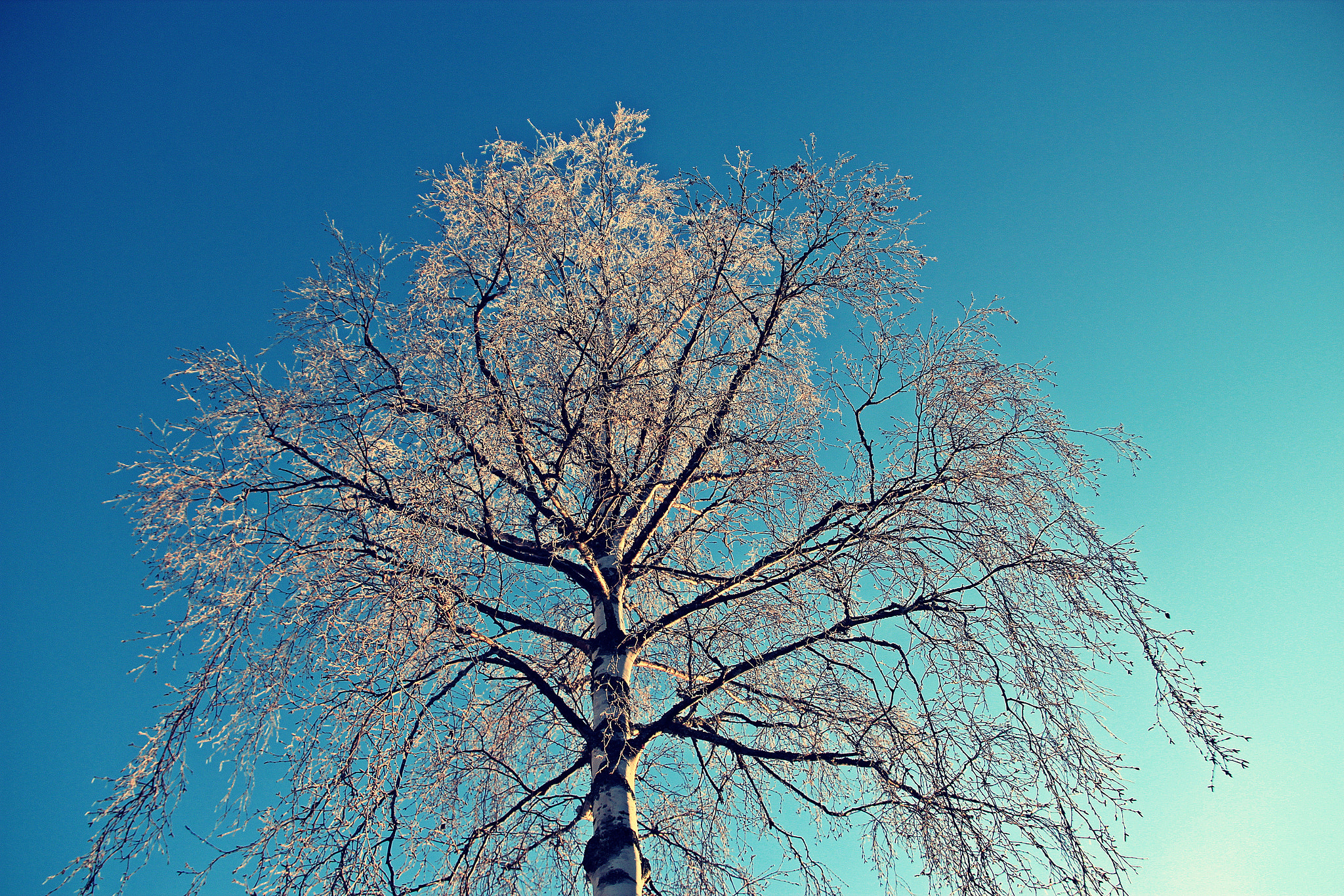 Sigma 18-125mm F3.8-5.6 DC OS HSM sample photo. Norwegian nature photography