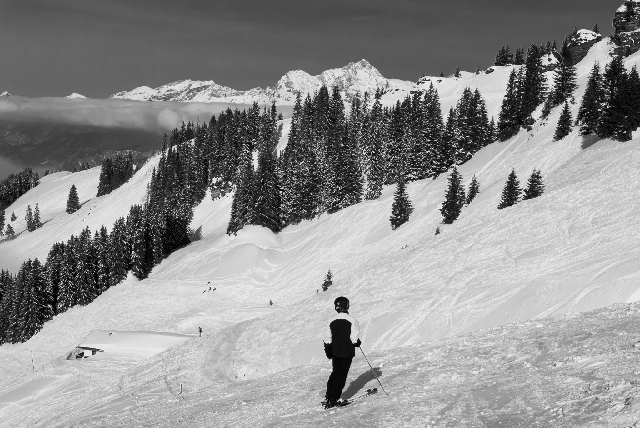 Nikon D40X sample photo. Skiing photography