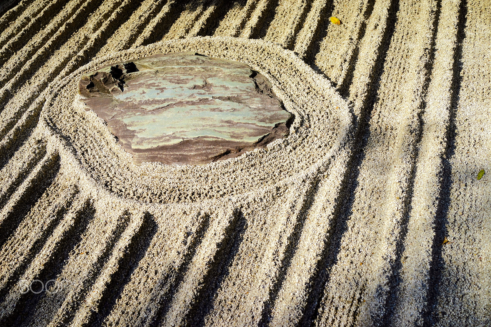 Sony Cyber-shot DSC-RX1R + Sony 35mm F2.0 sample photo. Kyoto impressions - pattern. color. structure. photography