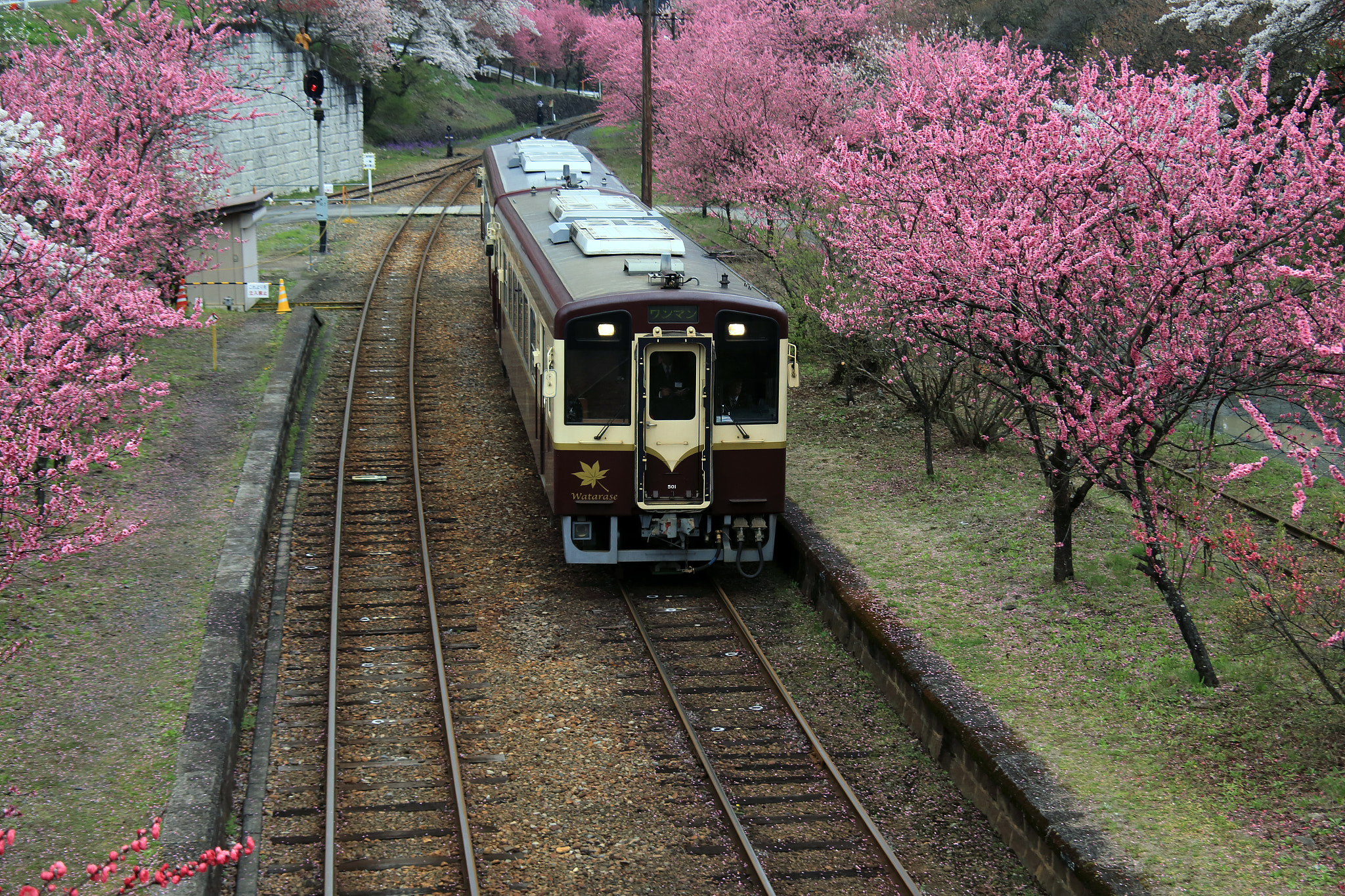 Canon EOS 6D + Tamron AF 28-300mm F3.5-6.3 XR Di VC LD Aspherical (IF) Macro sample photo. Spring railroad photography