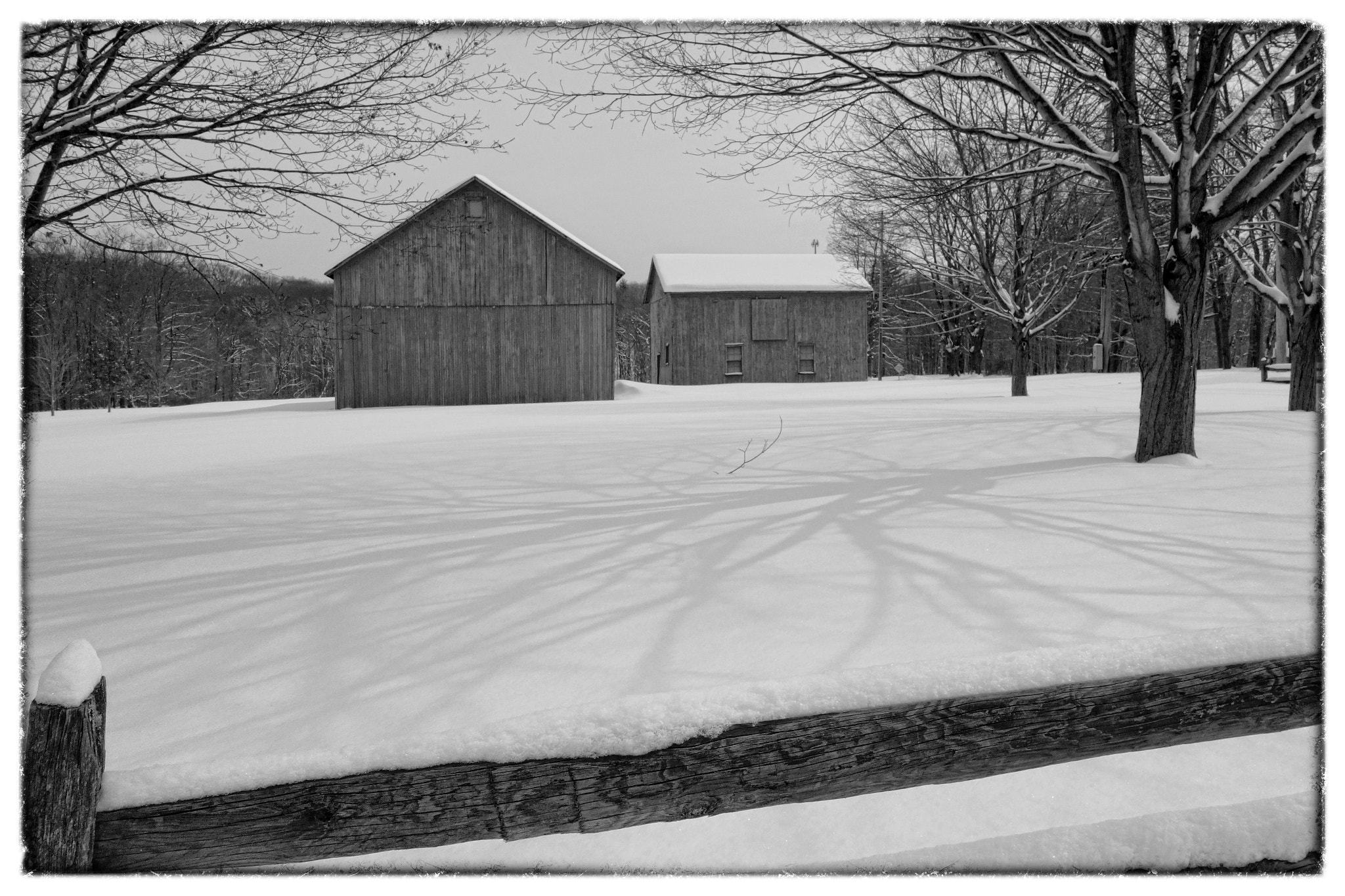 Hasselblad Stellar sample photo. Winter, ohio no.23 photography