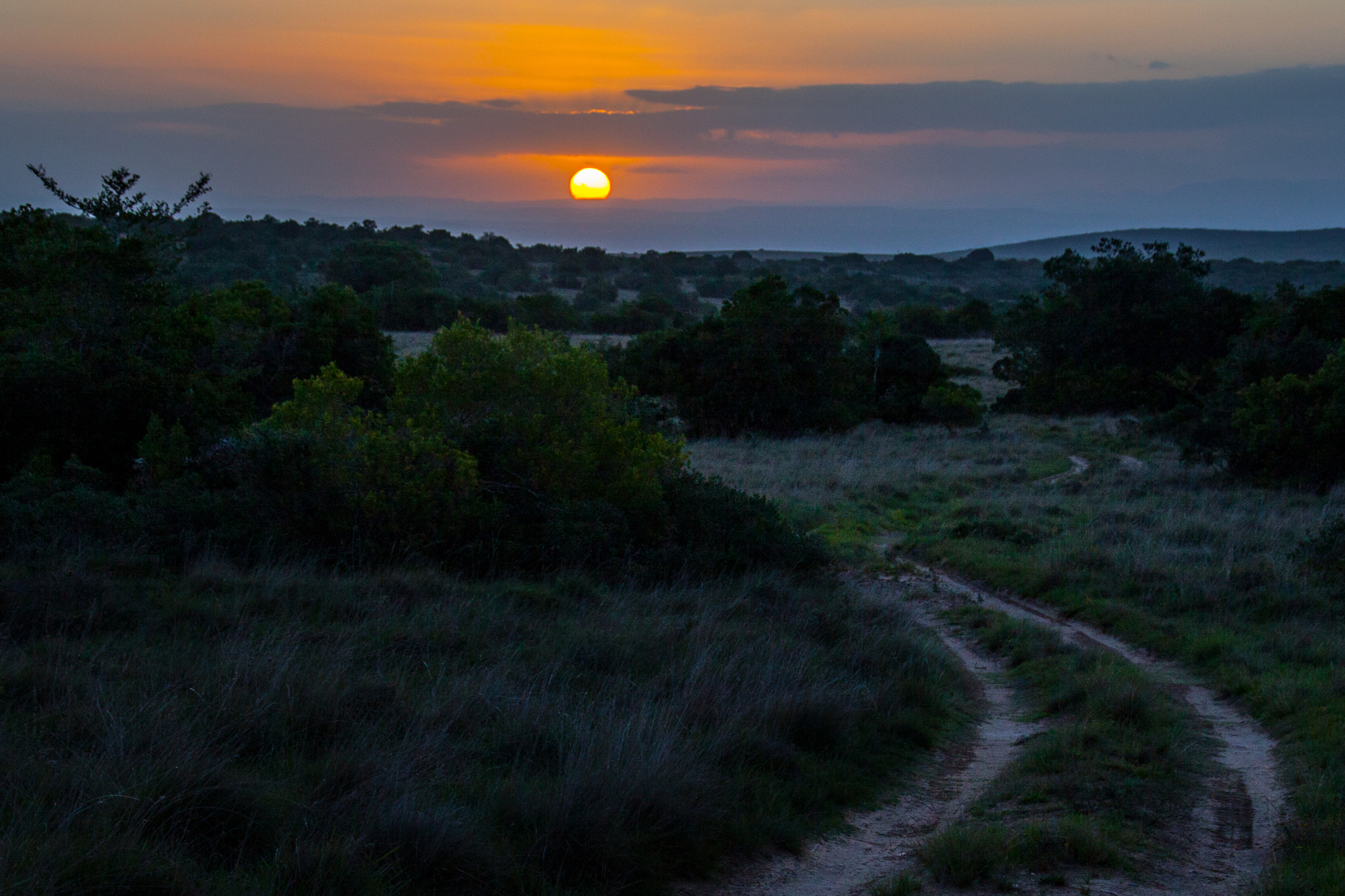 Sigma 18-250mm F3.5-6.3 DC OS HSM sample photo. Off road photography
