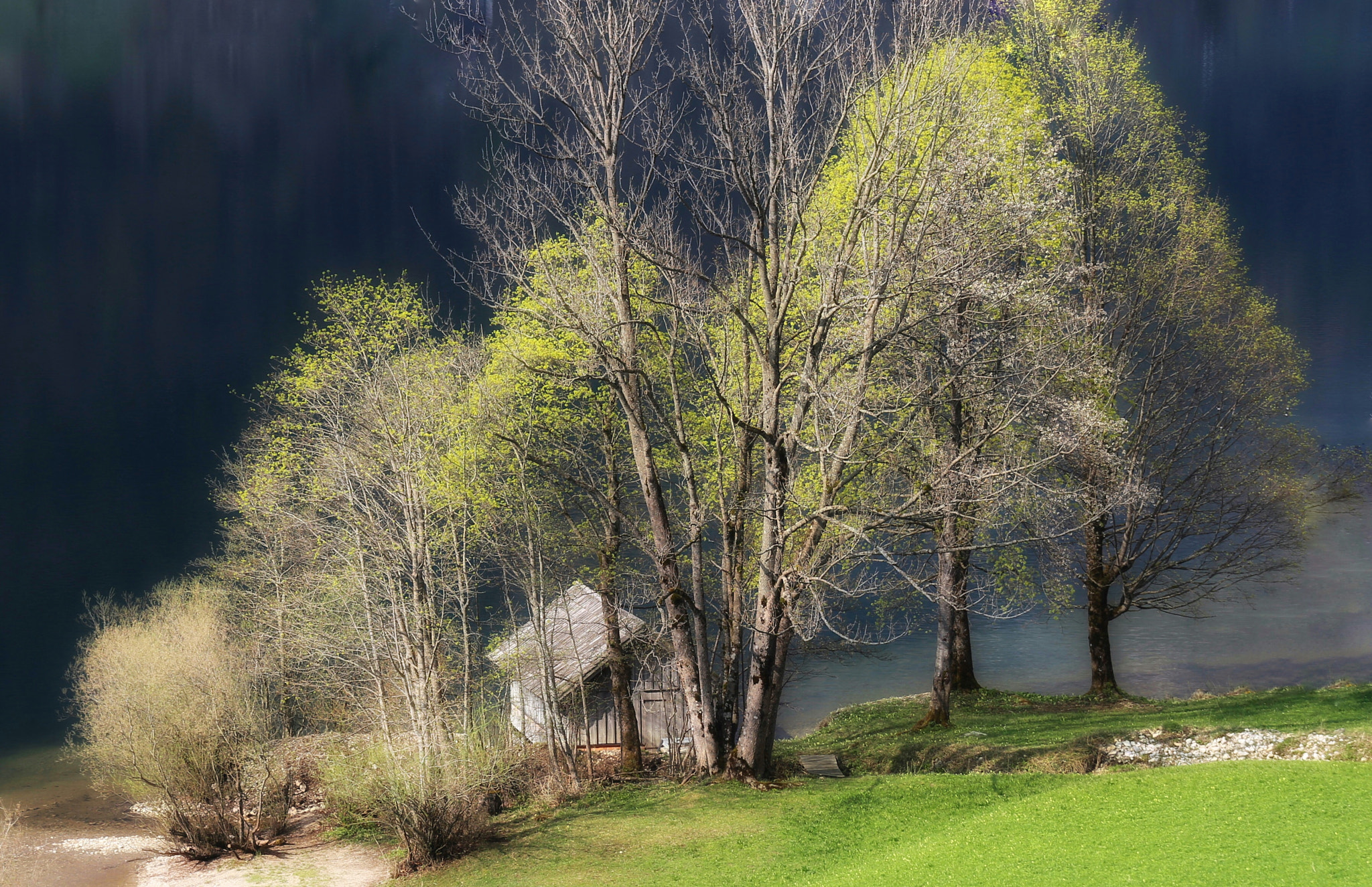 Canon EF 70-200mm F4L IS USM sample photo. Spring at the lake photography