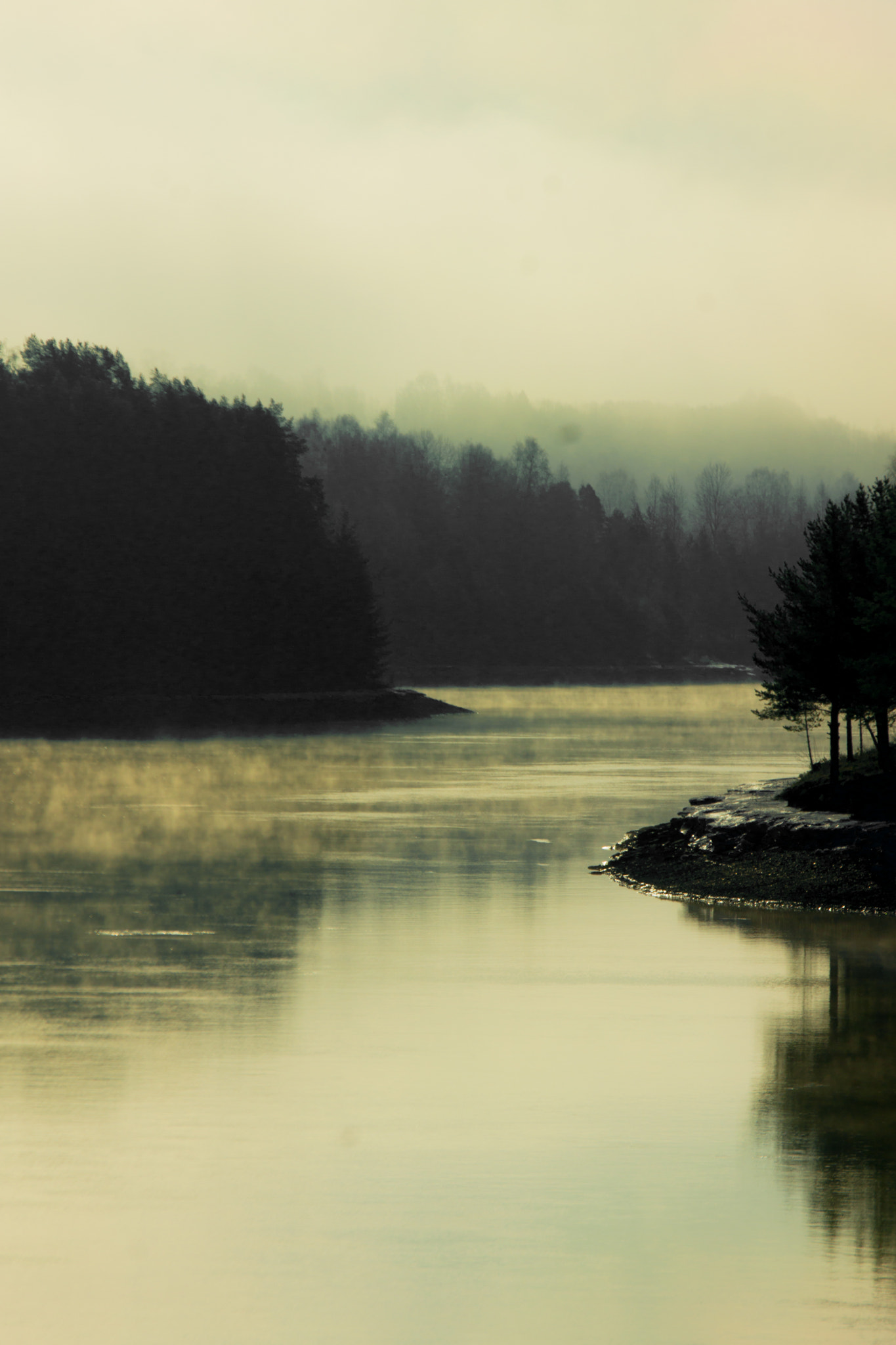 Sony SLT-A77 + Tamron SP 70-200mm F2.8 Di VC USD sample photo. Morning in northern sweden photography